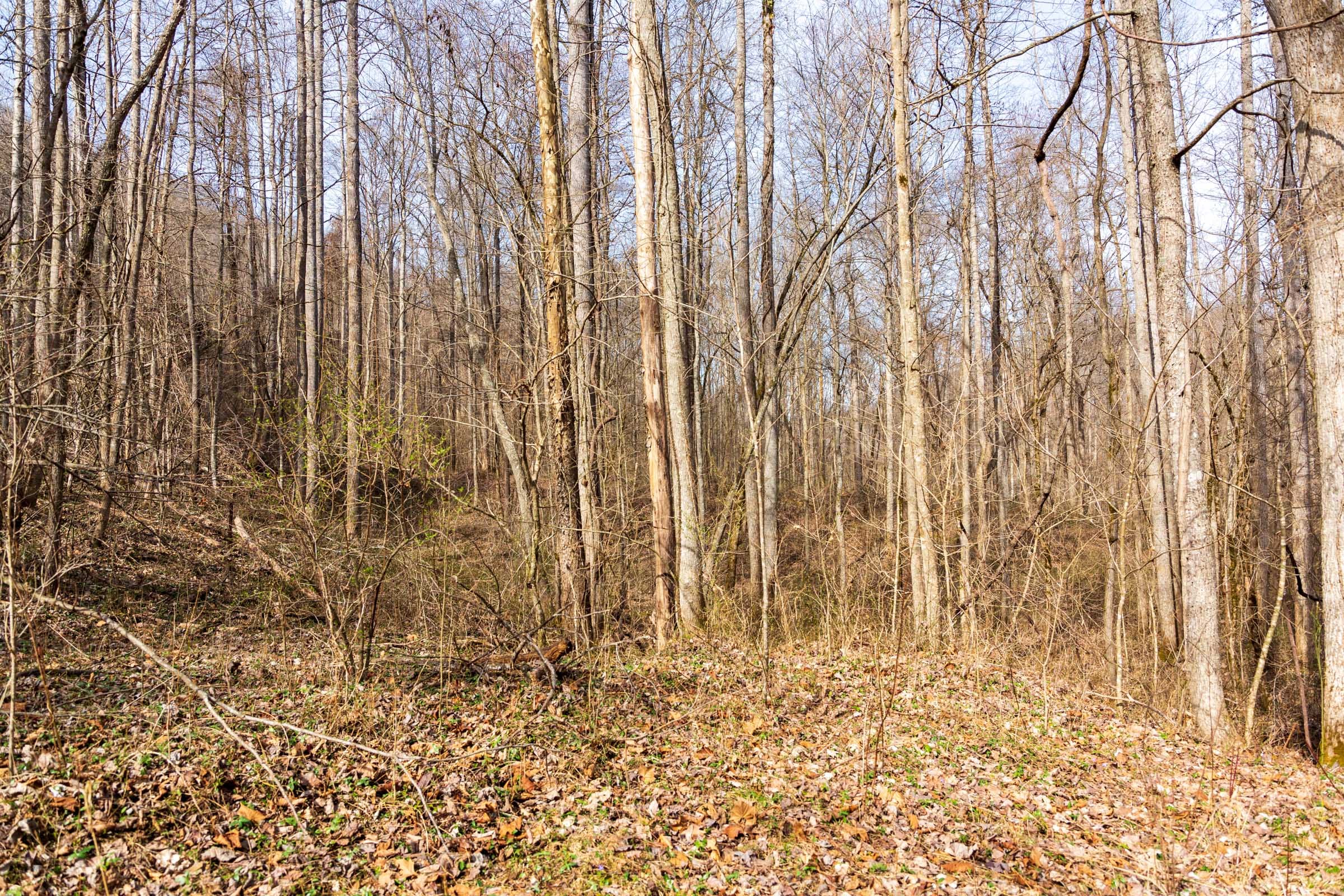 Blackstone Mountain Phase II Tract 65 photo 7