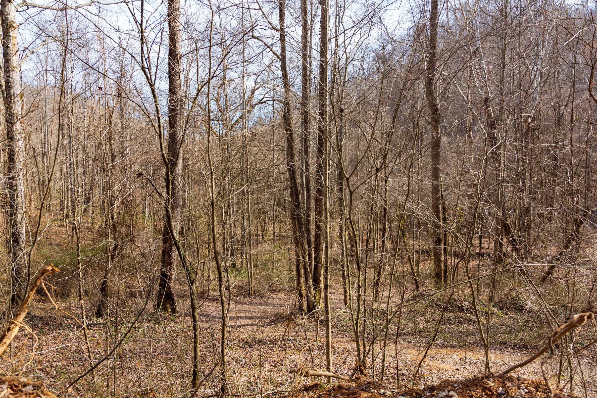 Blackstone Mountain Phase II Tract 65 photo 10