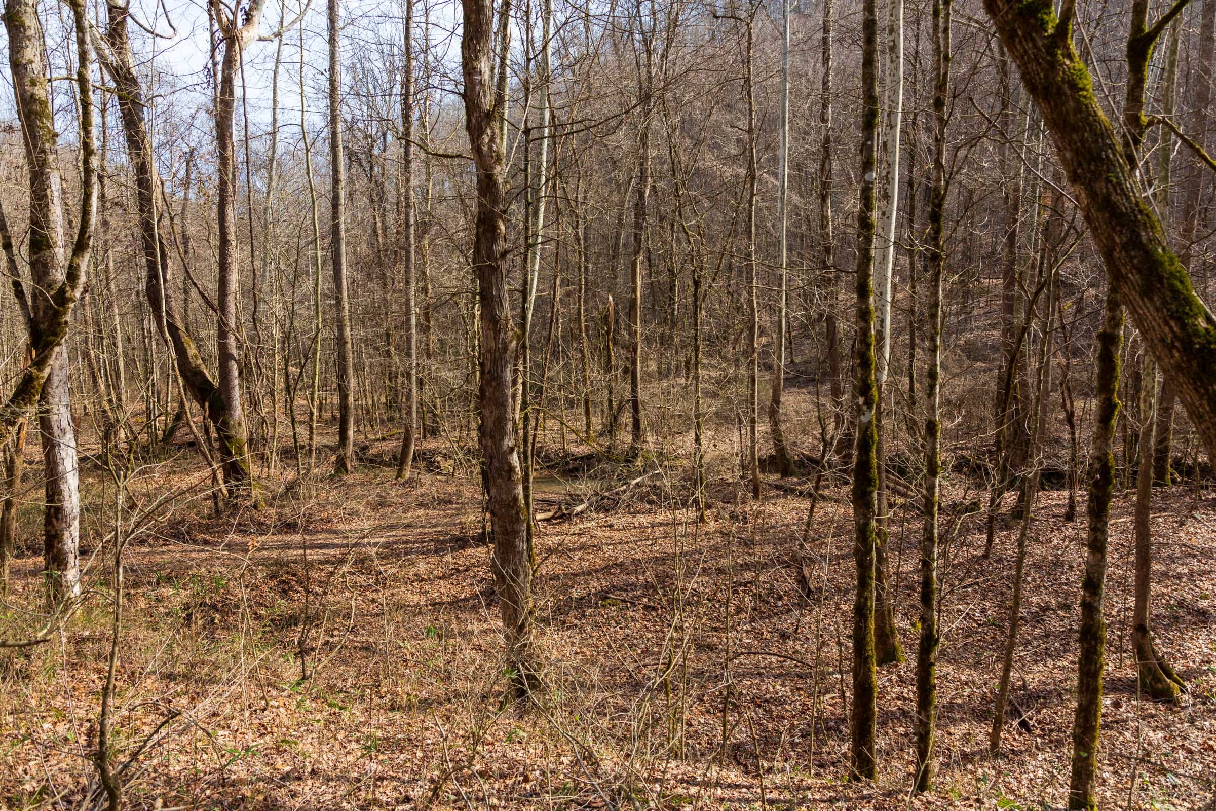 Blackstone Mountain Phase II Tract 65 photo 11