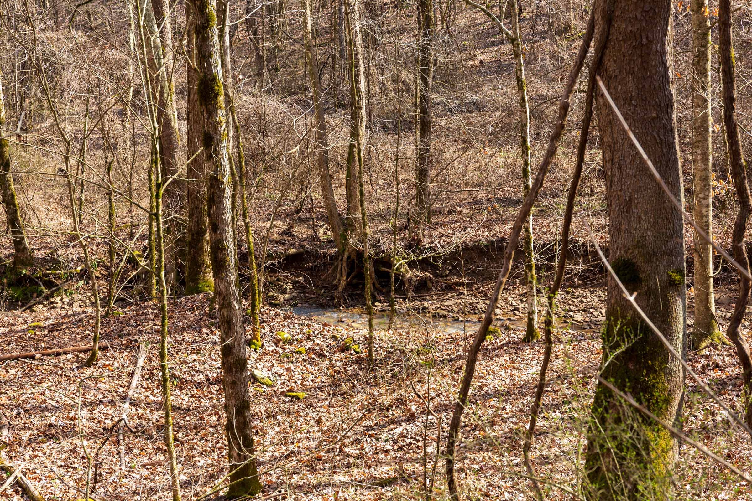 Blackstone Mountain Phase II Tract 65 photo 14