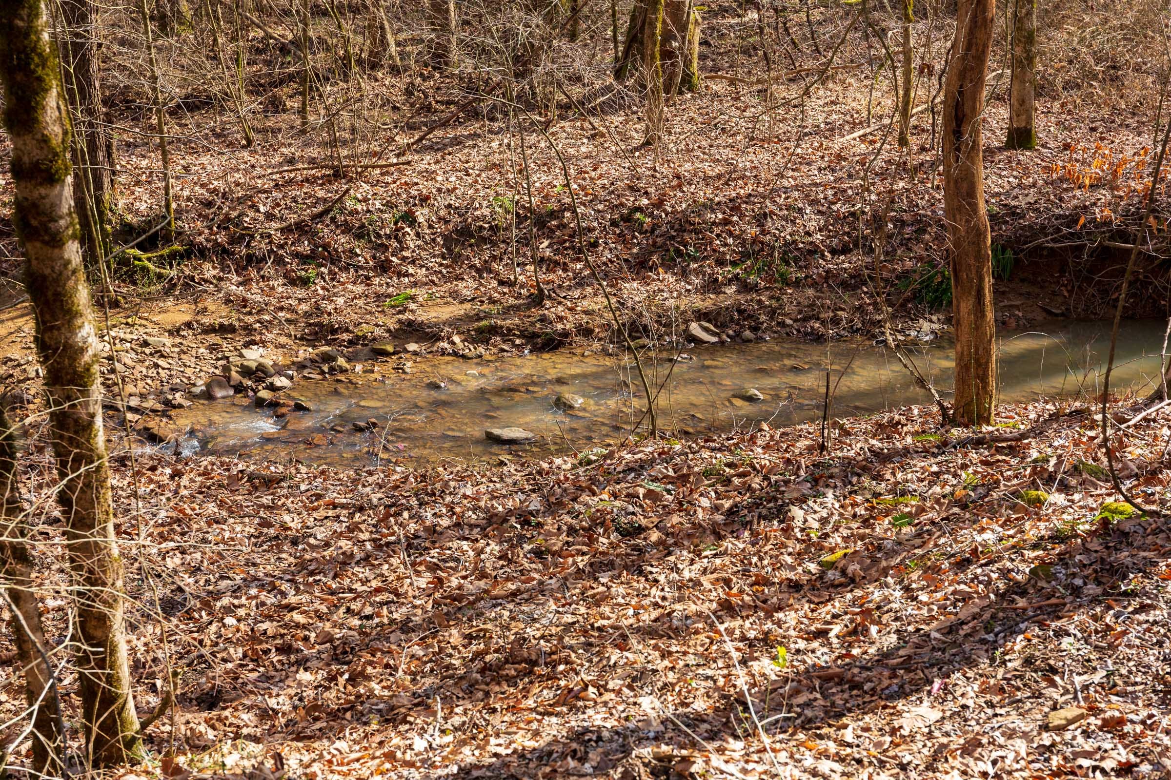 Blackstone Mountain Phase II Tract 65 photo 3