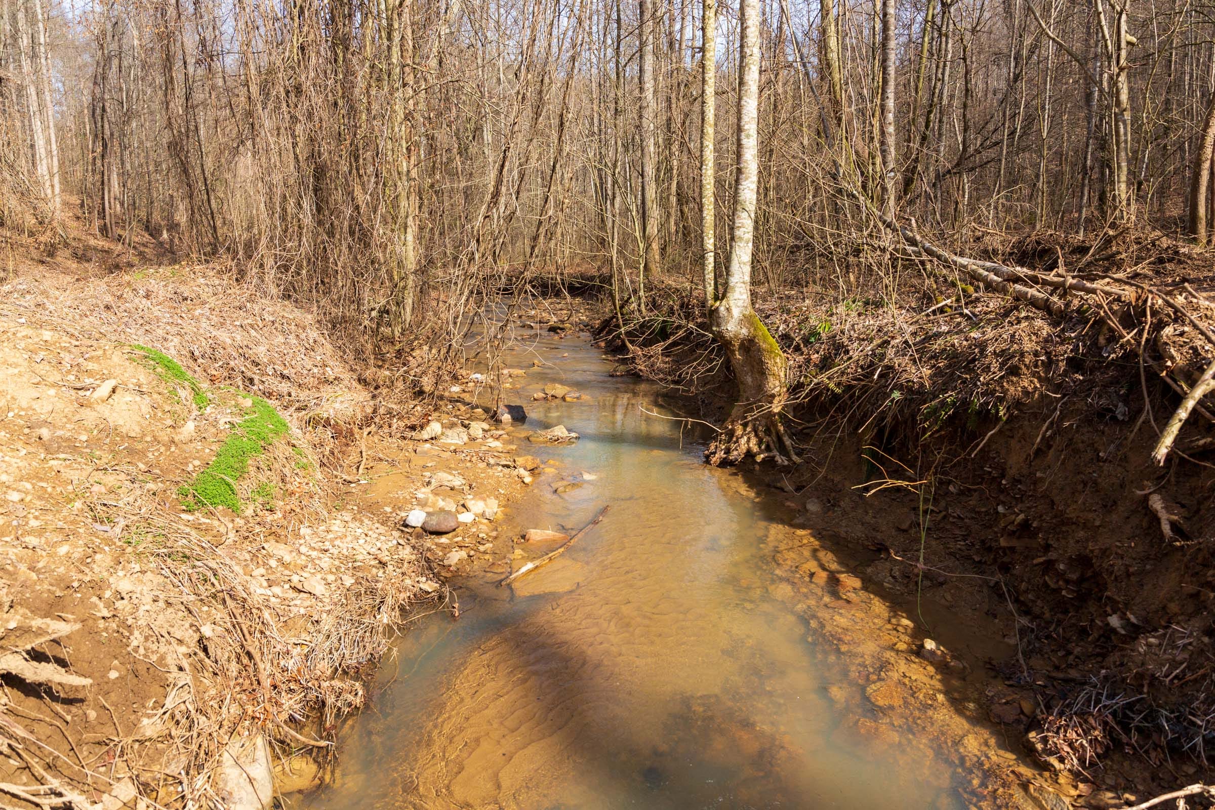 Blackstone Mountain Phase II Tract 65 photo 2
