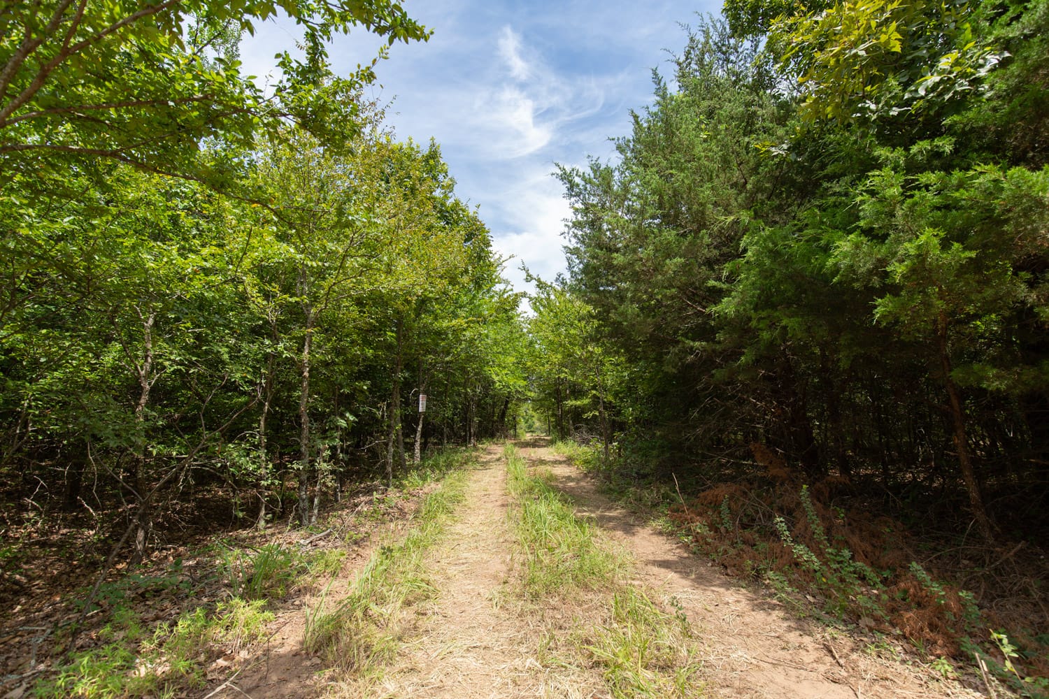 Timber Ridge Tract 54 photo 1