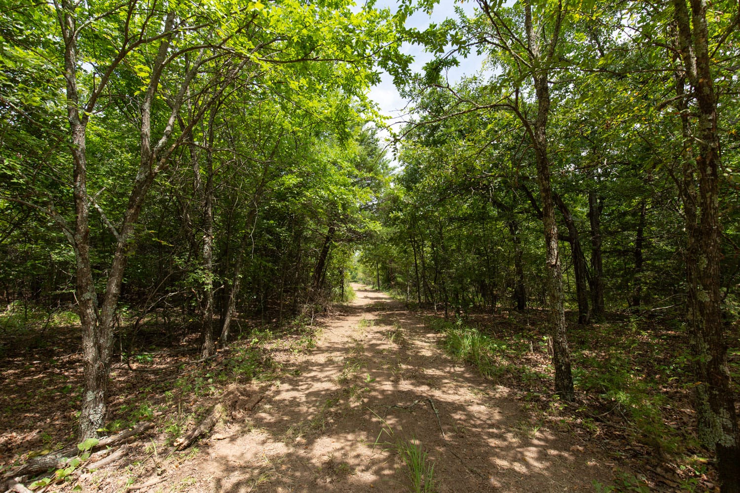 Timber Ridge Tract 54 photo 5