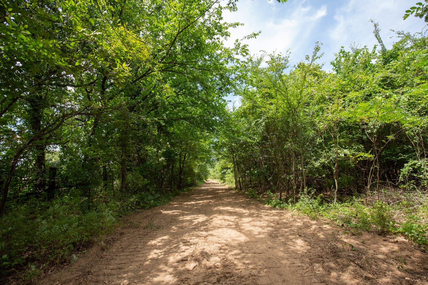 Timber Ridge Tract 54 photo 3