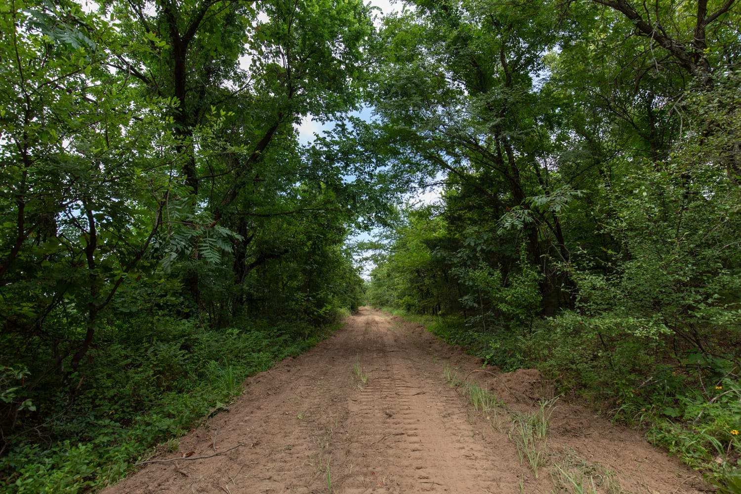 Timber Ridge Tract 54 photo 8