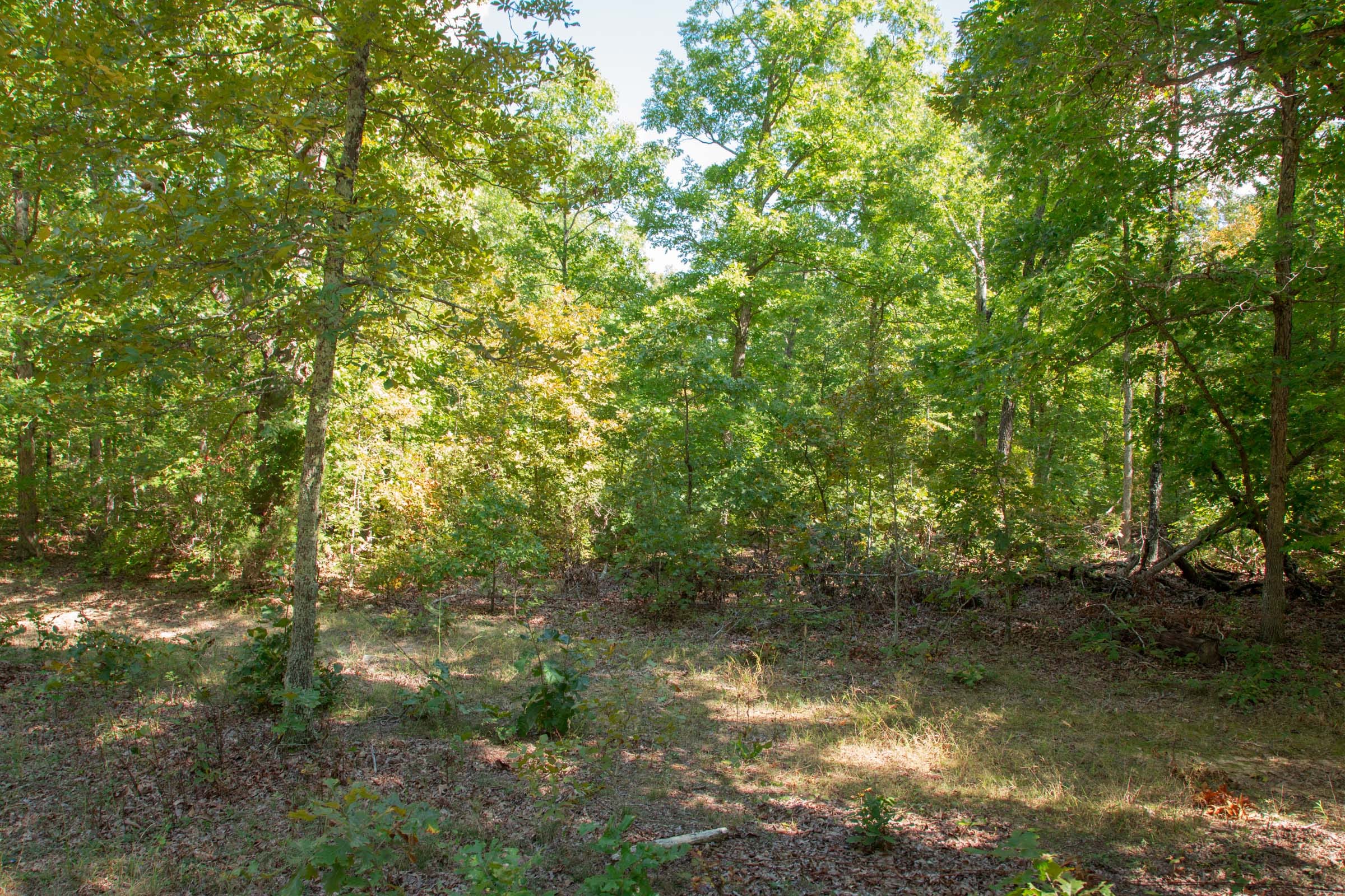 Wagon Wheel Ranch Tract 9 photo 3