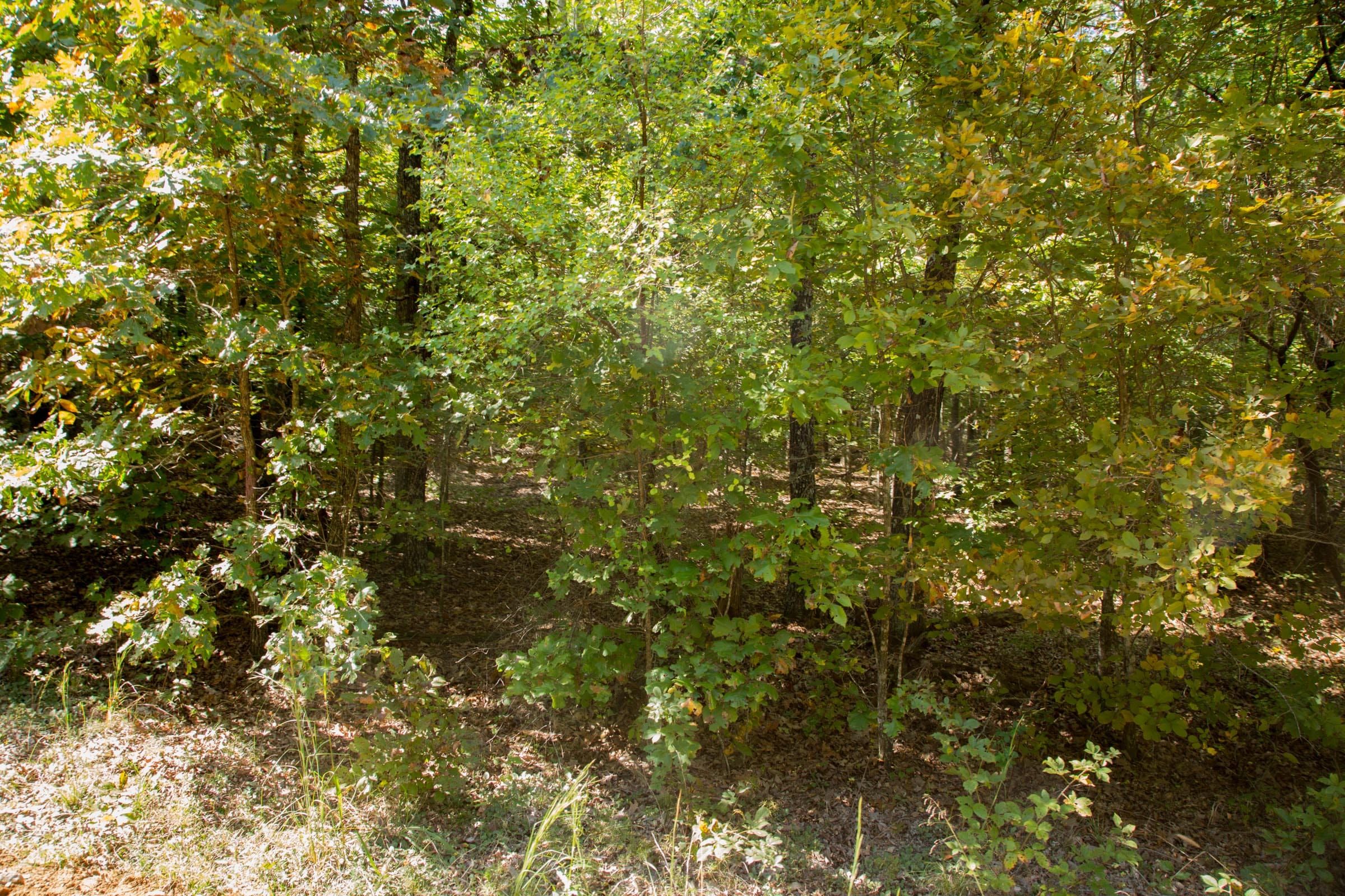 Wagon Wheel Ranch Tract 9 photo 4