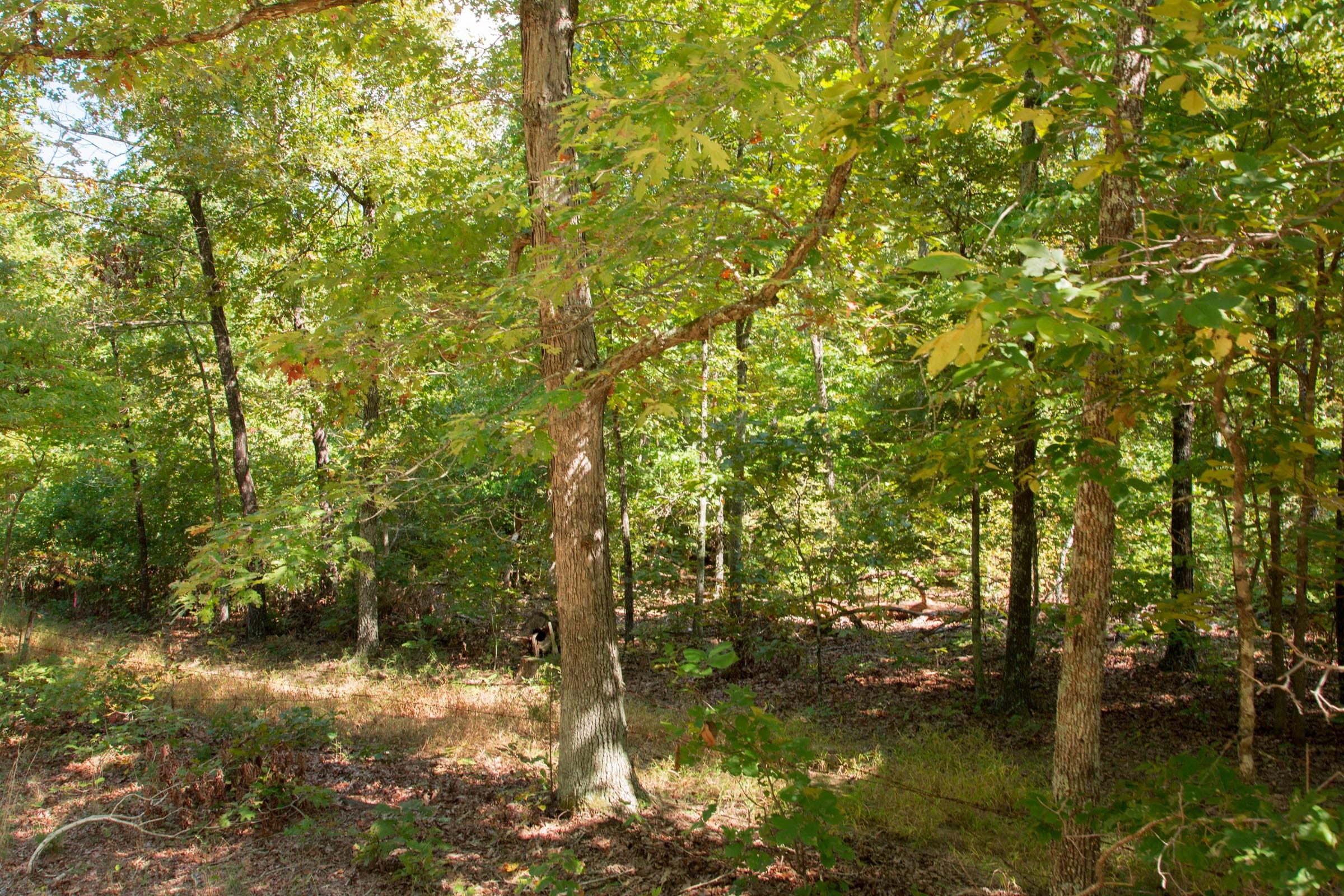 Wagon Wheel Ranch Tract 9 photo 1