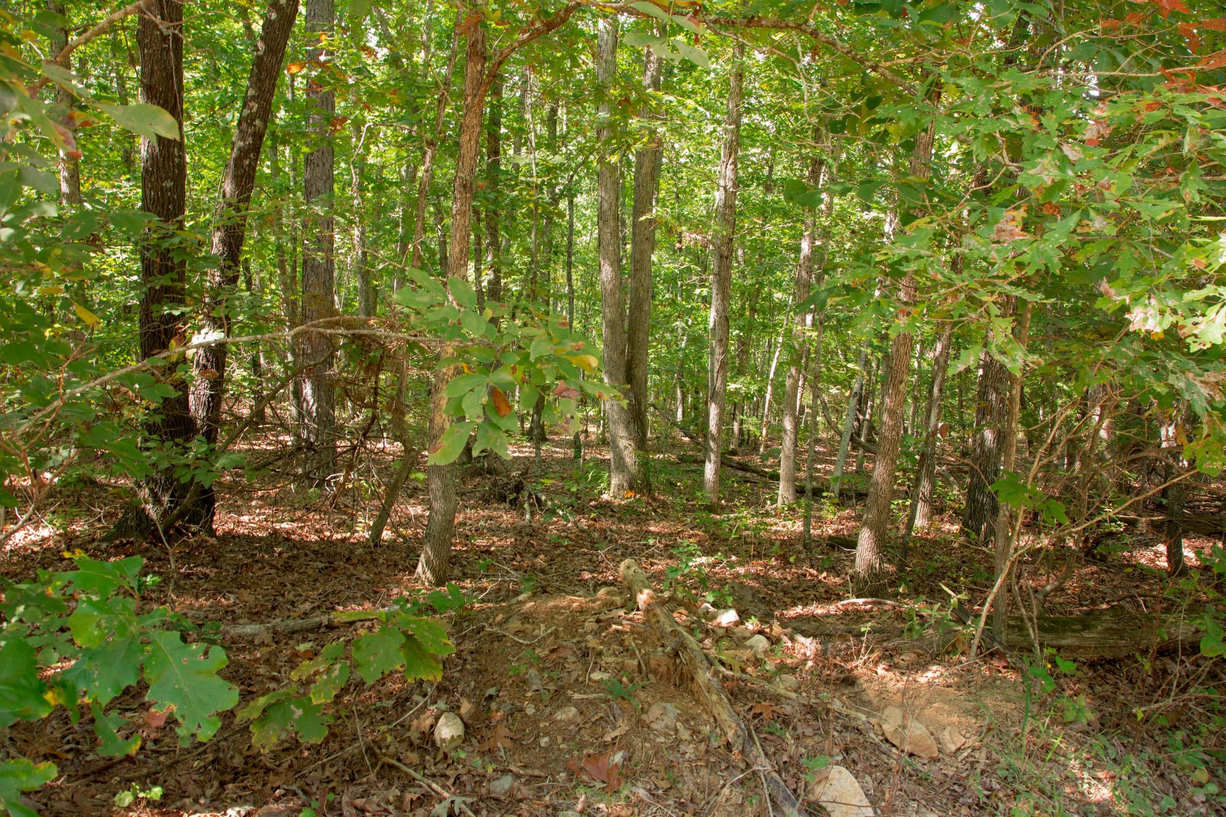 Wagon Wheel Ranch Tract 9 photo 9