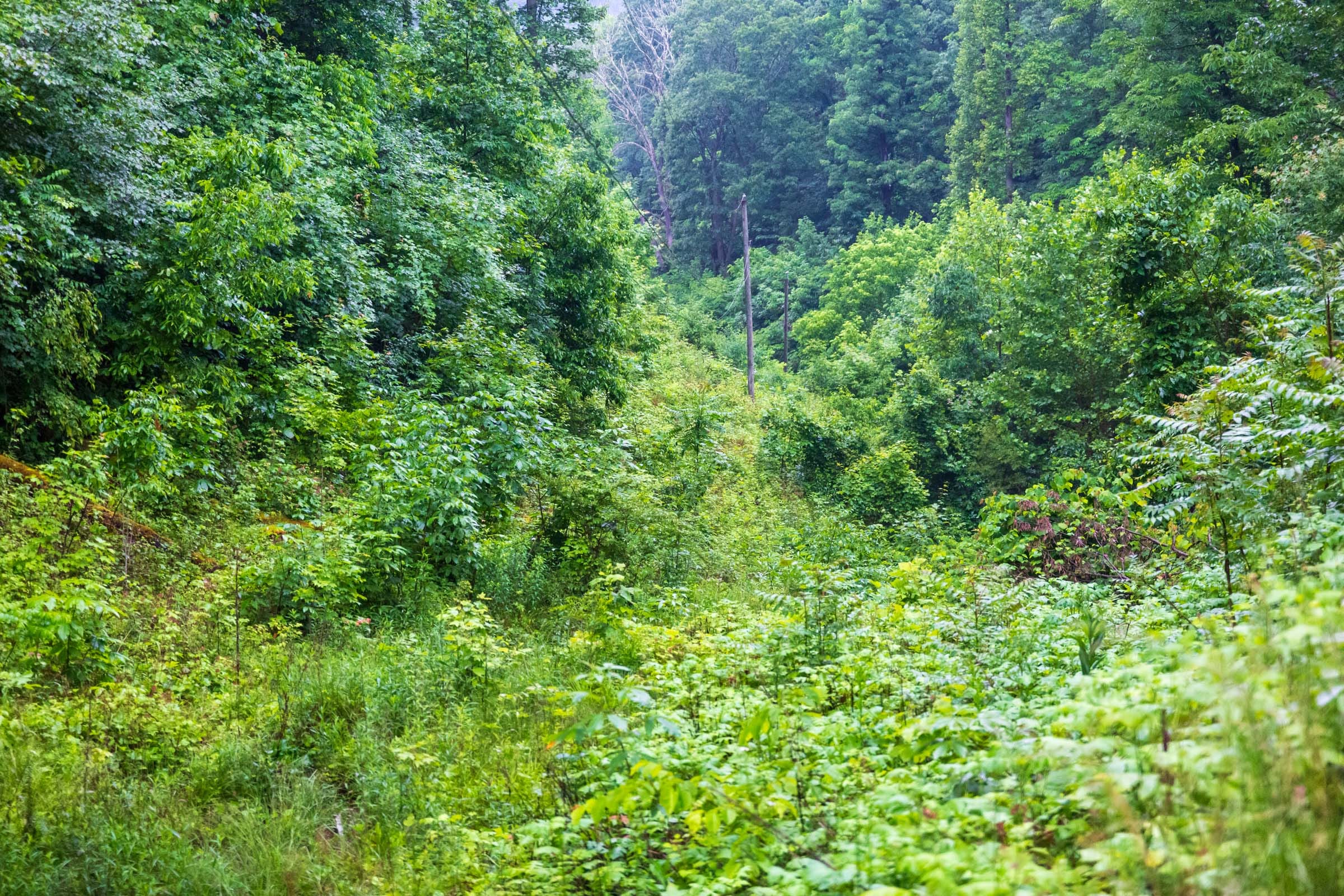 Bluffview Tract 9 photo 23