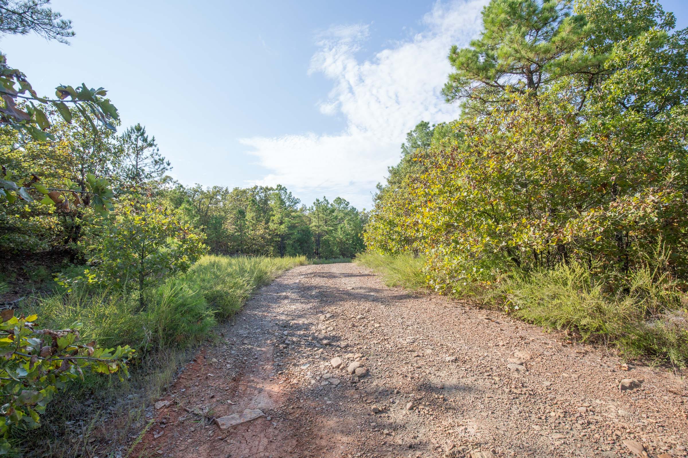Stone Bridge Phase I Tract 55 photo 1