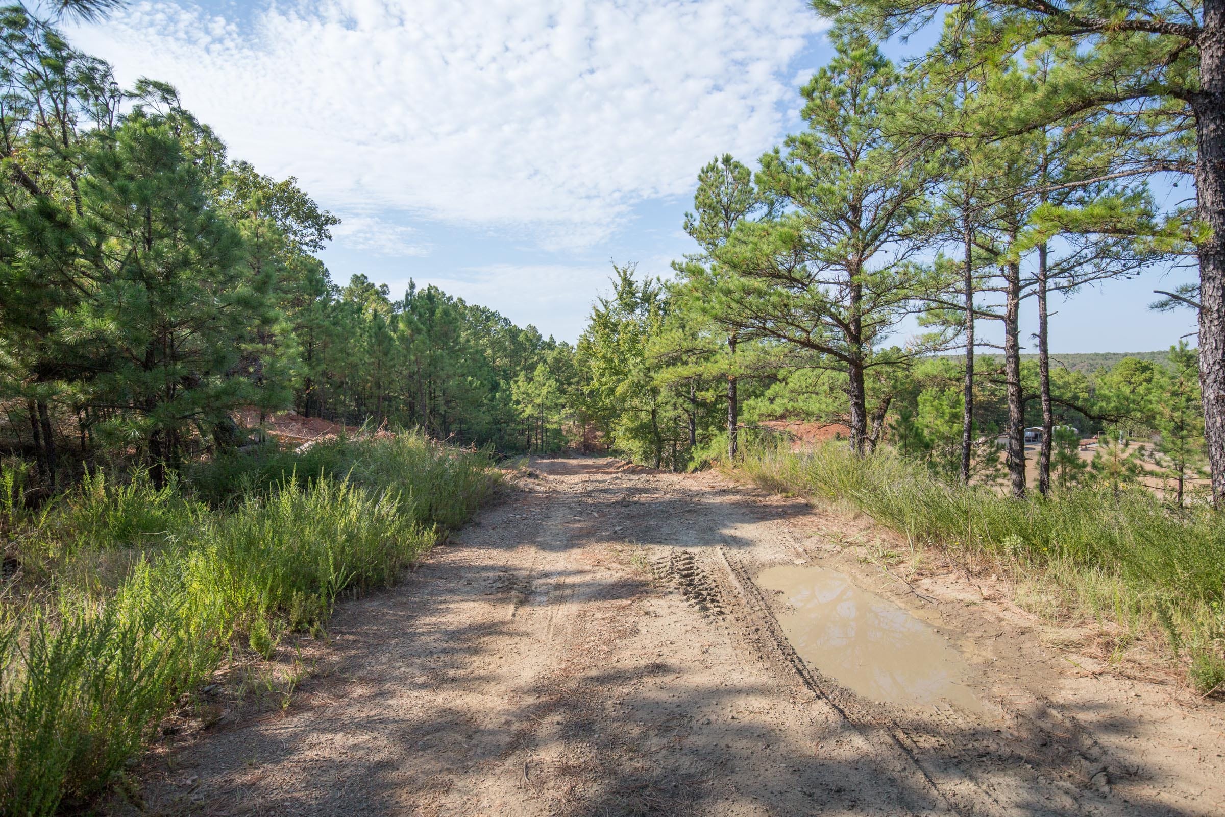 Stone Bridge Phase I Tract 55 photo 6