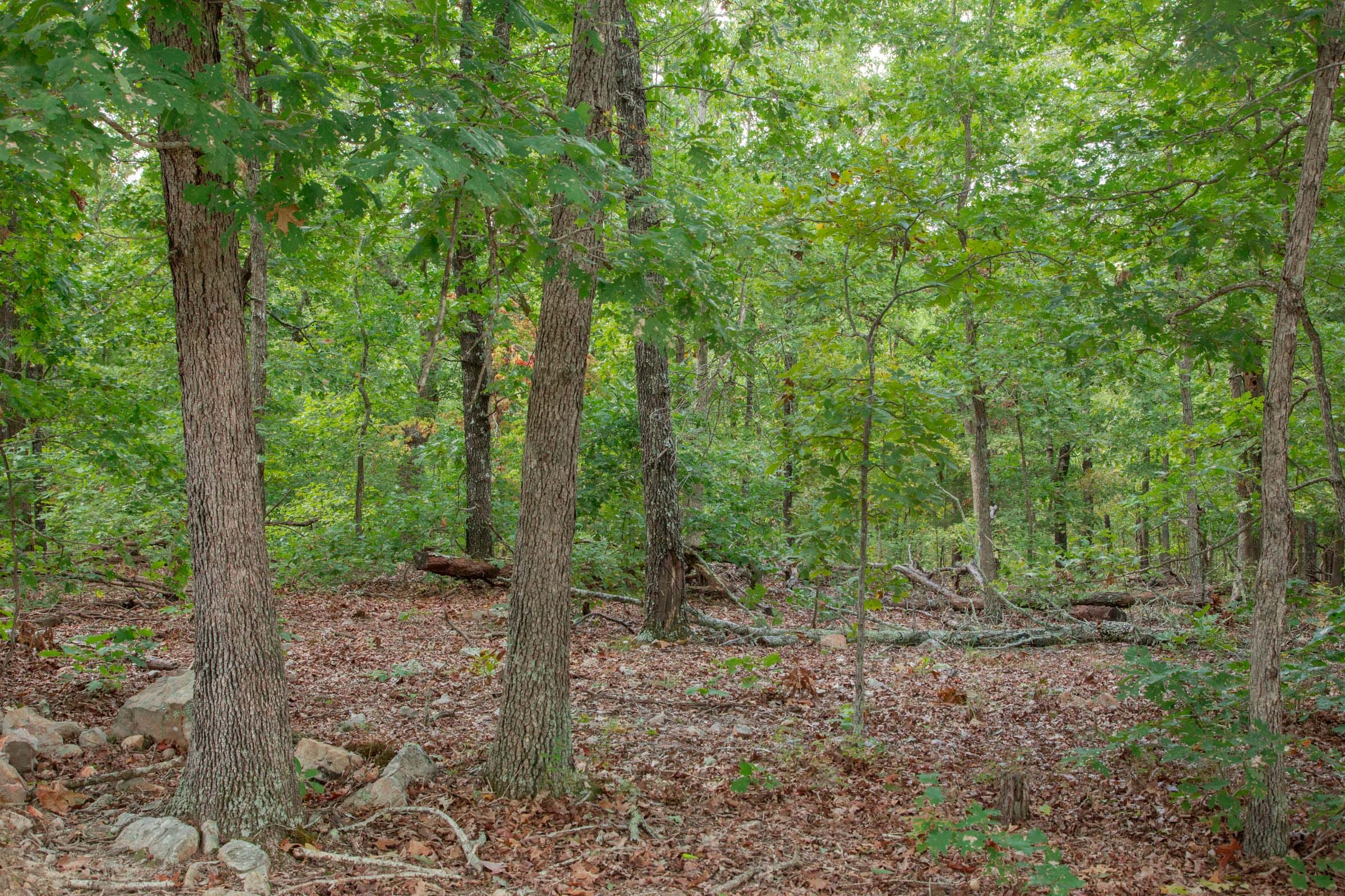 Wagon Wheel Ranch Tract 24 photo 1