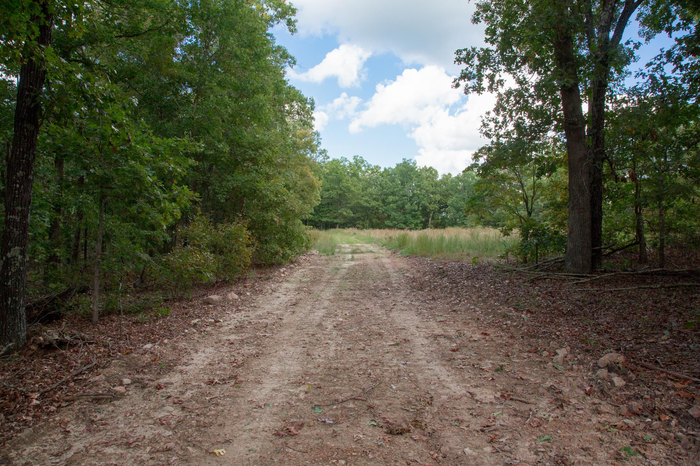 Wagon Wheel Ranch Tract 24 photo 3