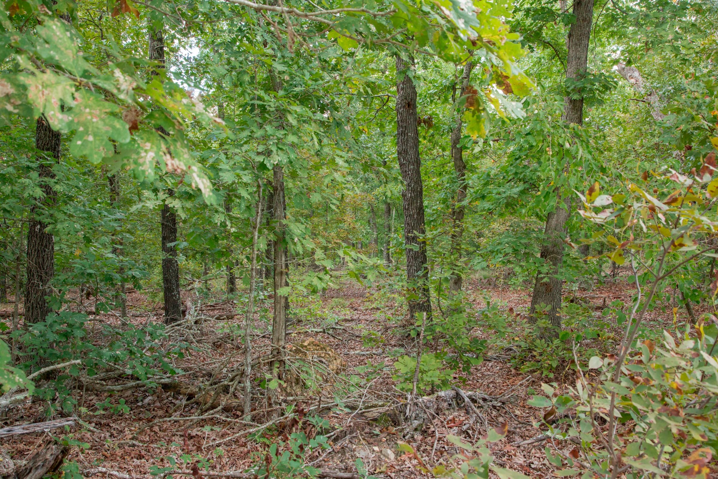 Wagon Wheel Ranch Tract 24 photo 4