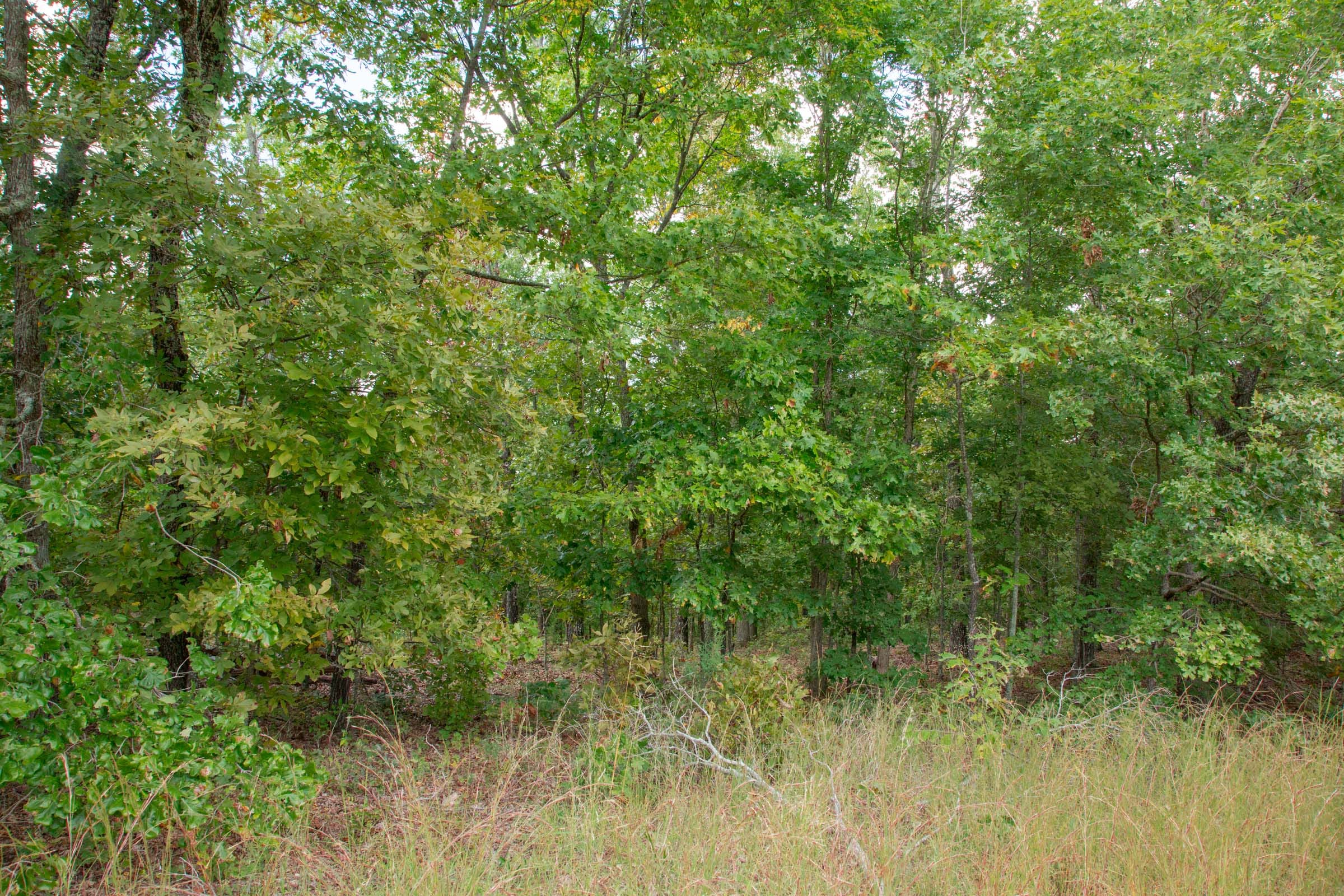 Wagon Wheel Ranch Tract 24 photo 7
