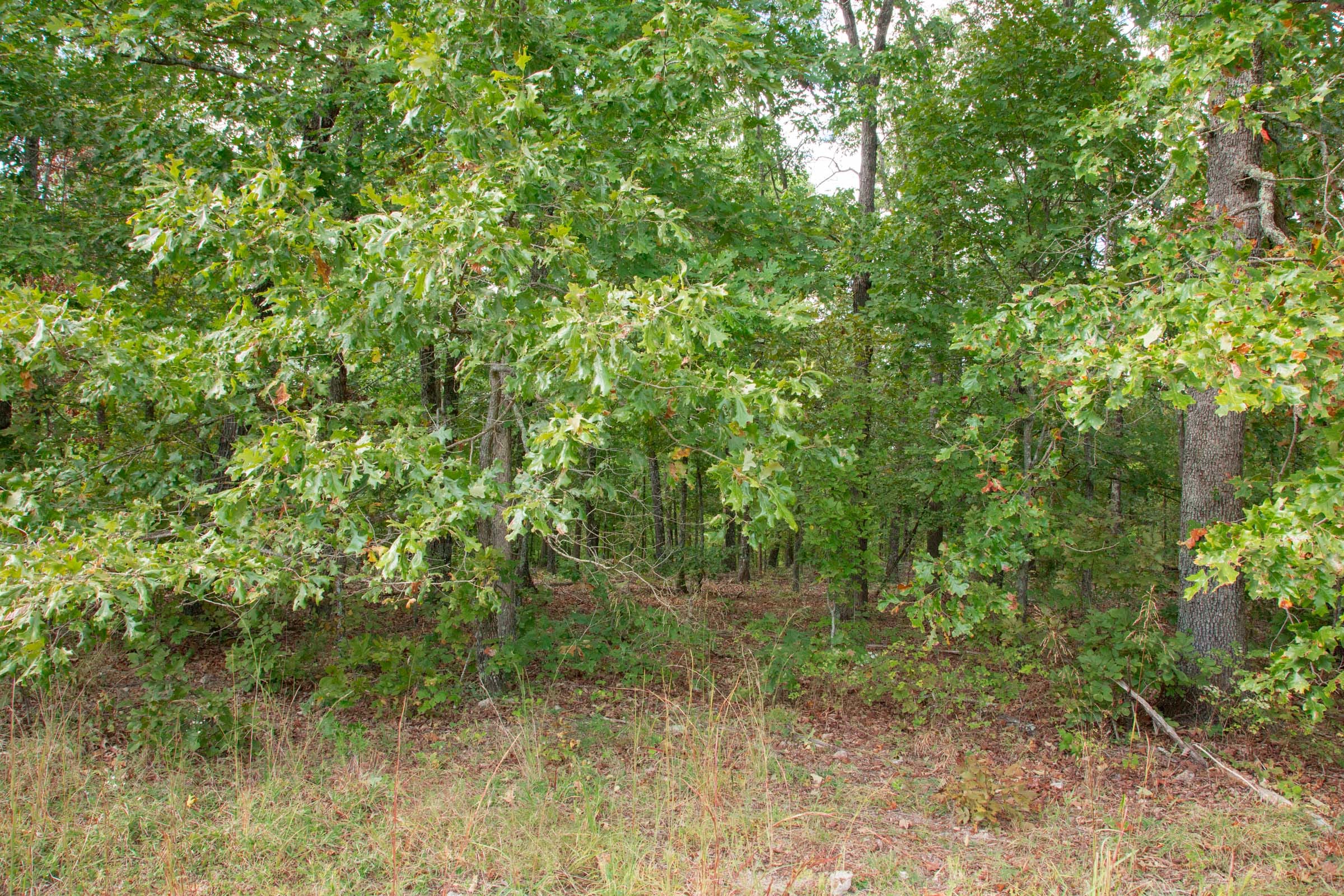 Wagon Wheel Ranch Tract 24 photo 8