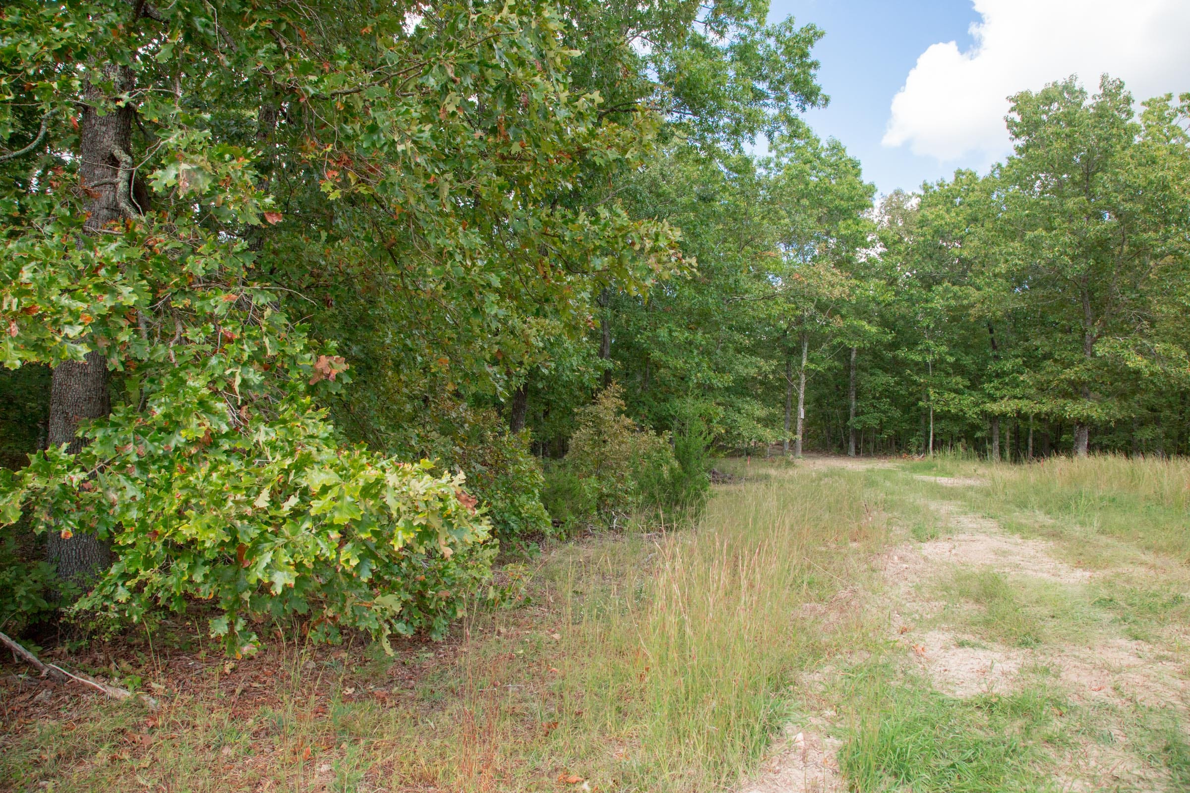 Wagon Wheel Ranch Tract 24 photo 9