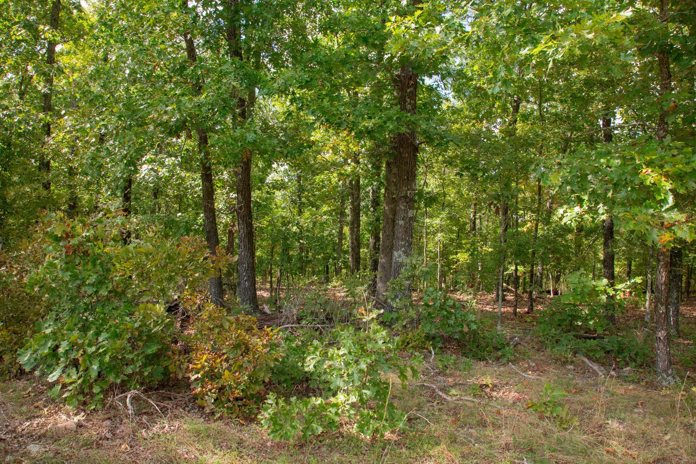 Wagon Wheel Ranch Tract 24 photo 10