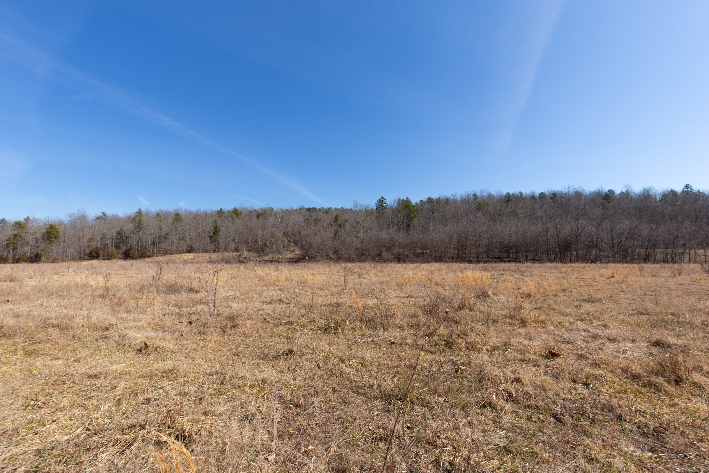 O’Connor Crossing Tract 26 photo 2