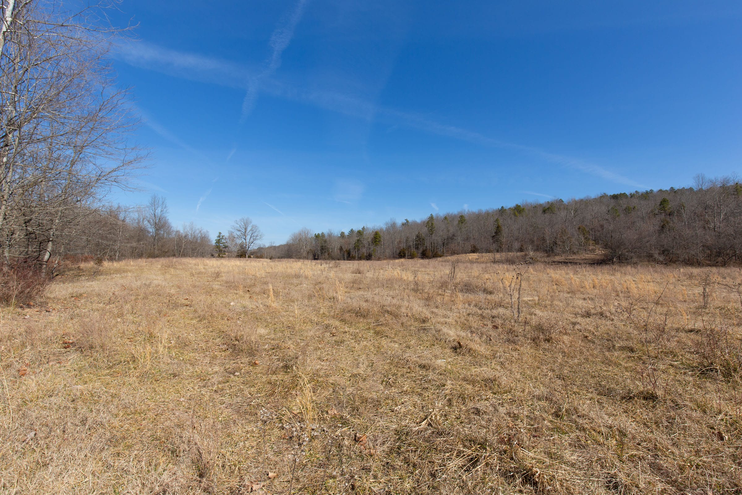 O’Connor Crossing Tract 26 photo 4