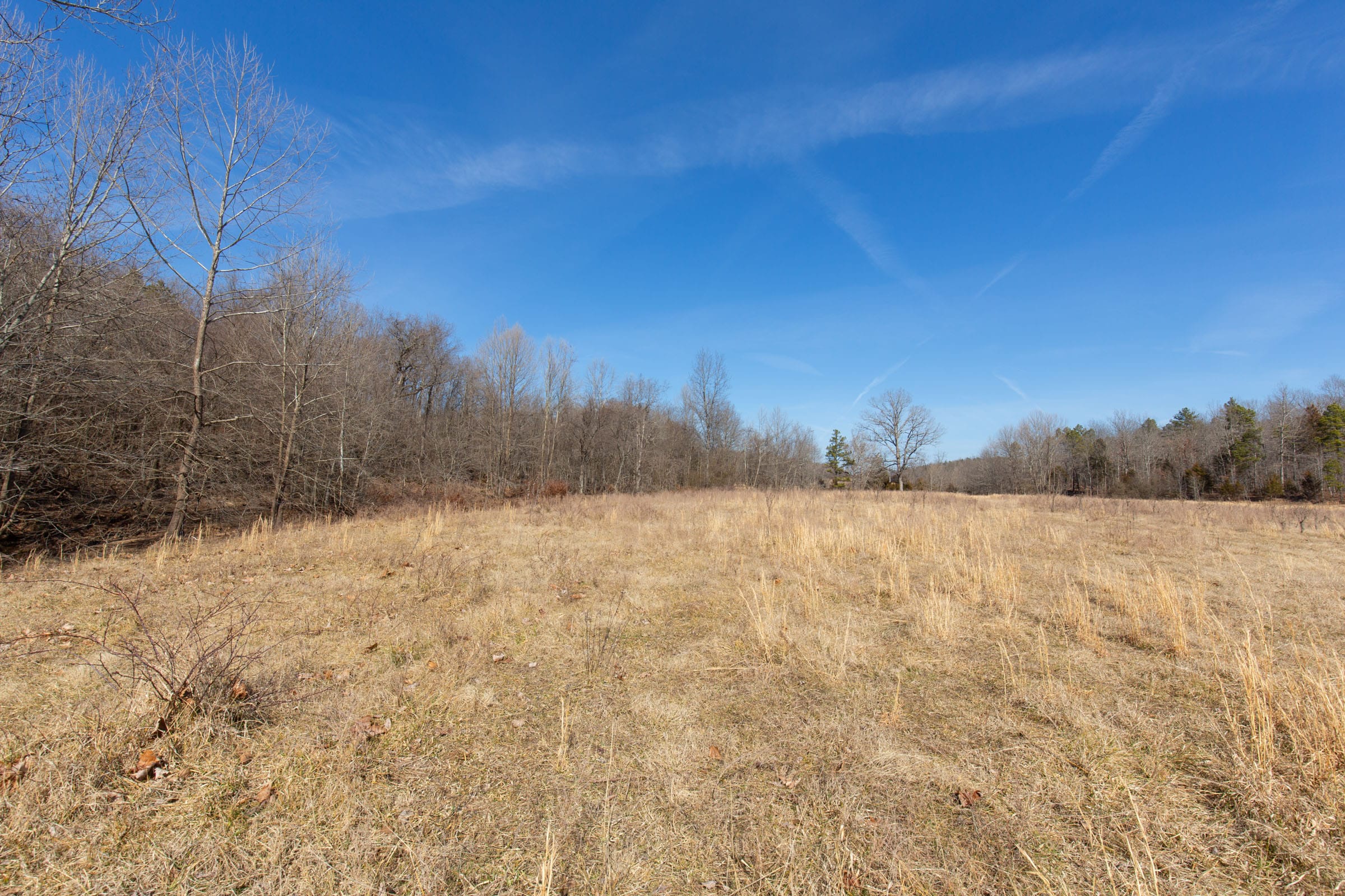O’Connor Crossing Tract 26 photo 11