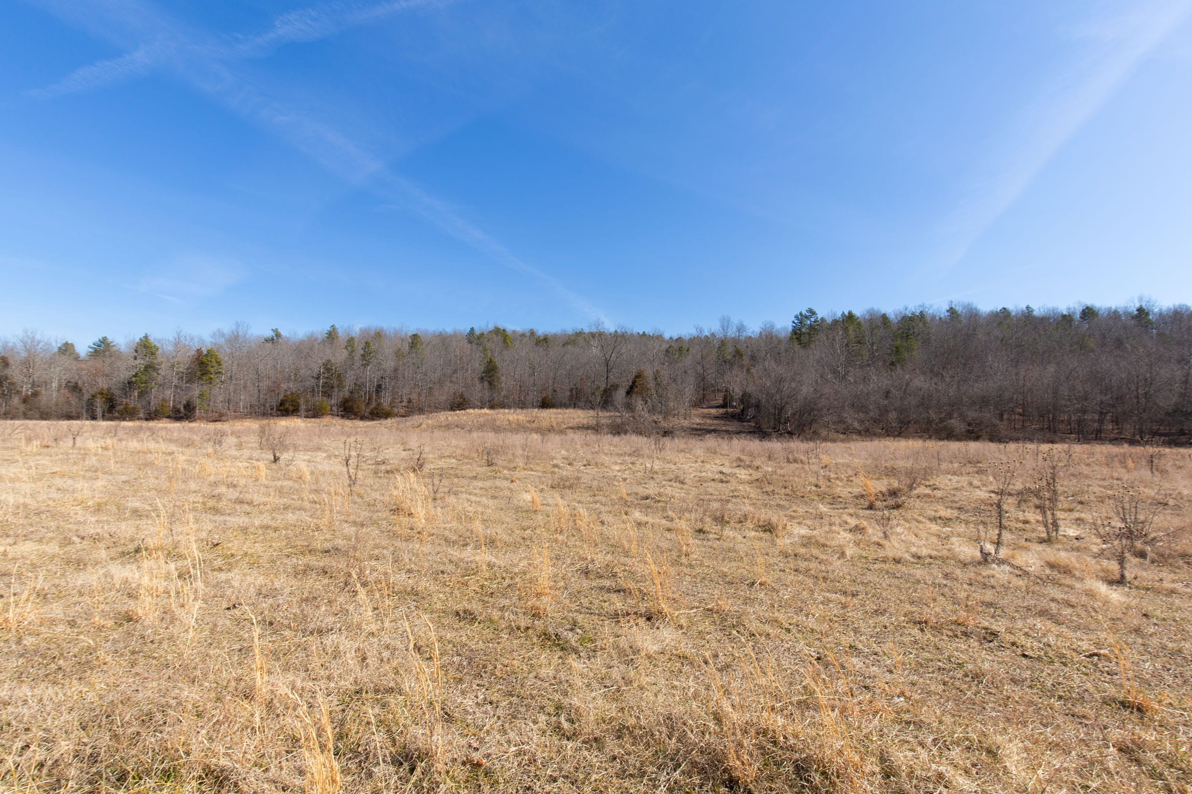 O’Connor Crossing Tract 26 photo 12