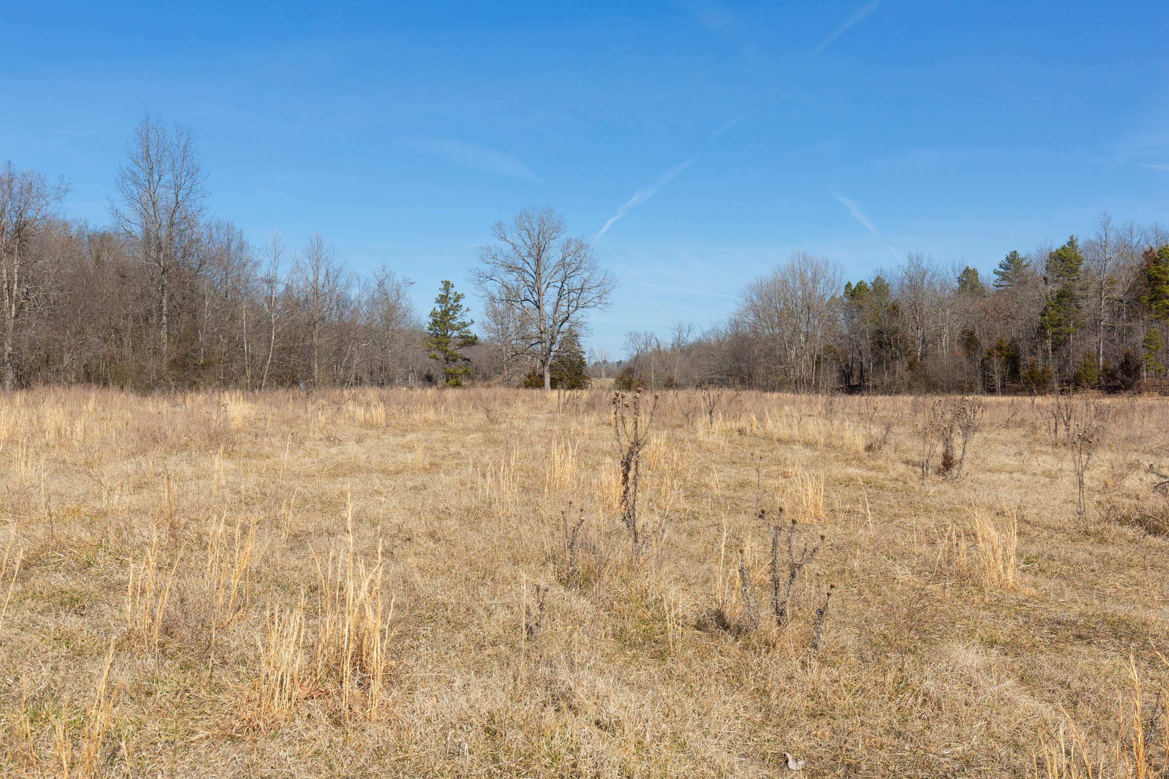 O’Connor Crossing Tract 26 photo 6