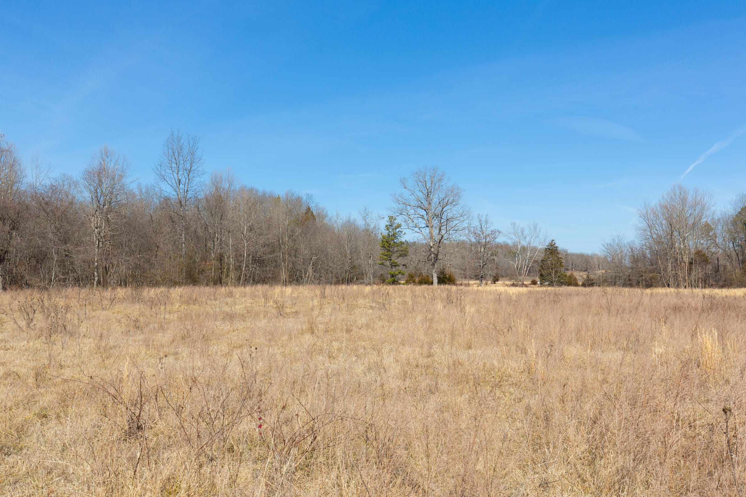 O’Connor Crossing Tract 26 photo 14