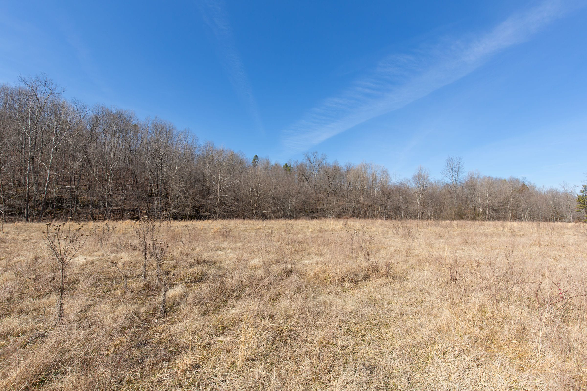 O’Connor Crossing Tract 26 photo 13