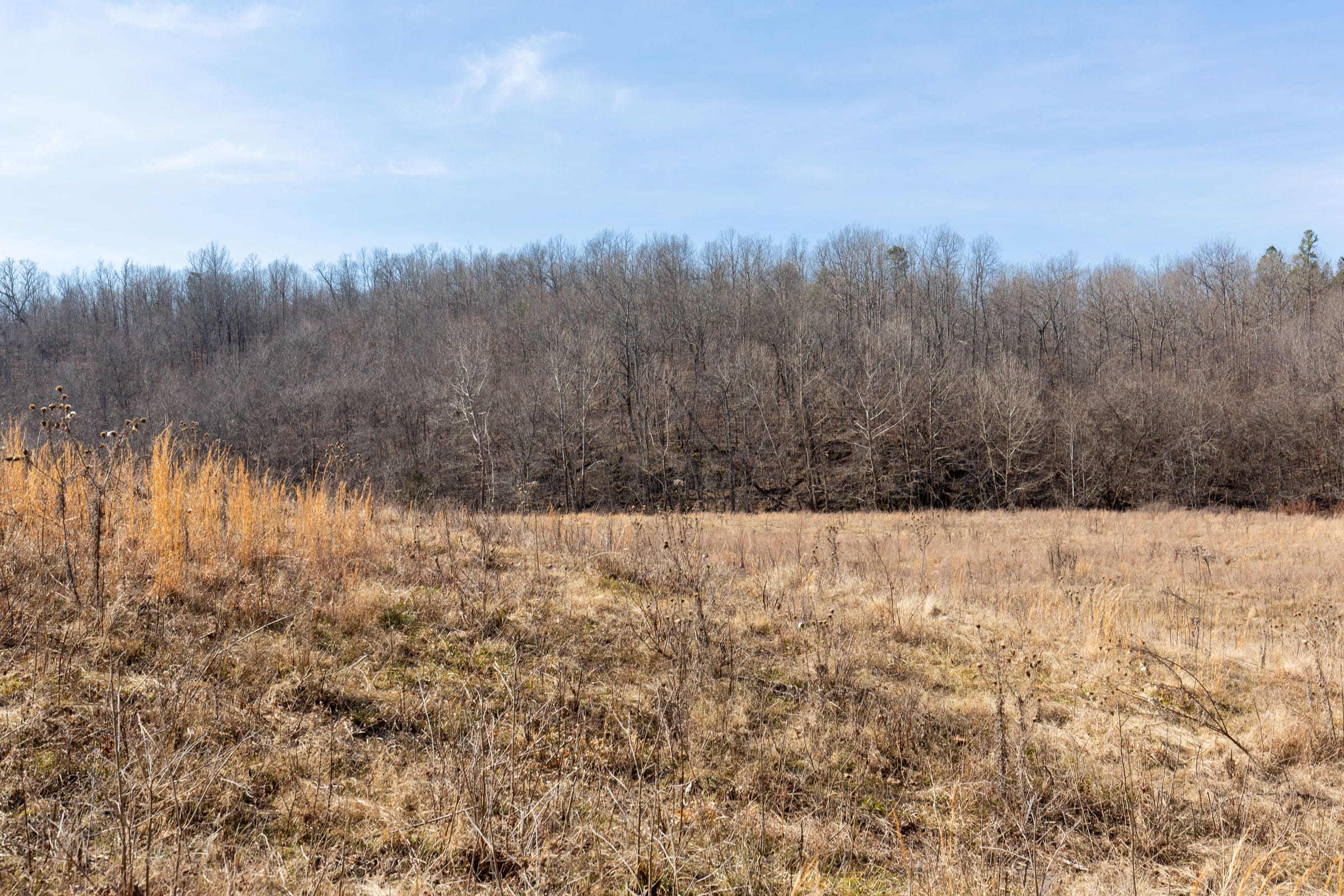 O’Connor Crossing Tract 26 photo 10