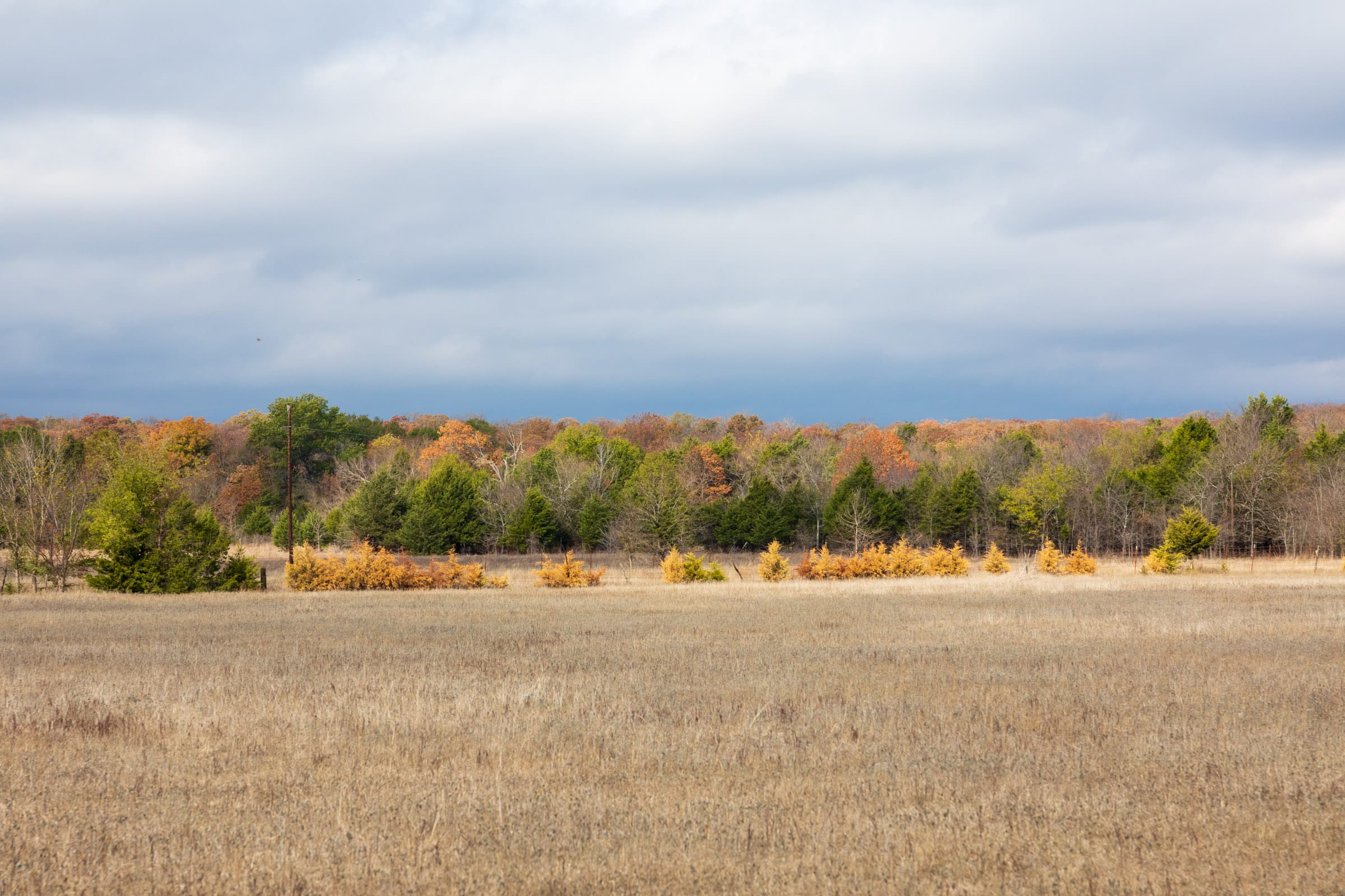 Crystal Springs Tract 7 photo 1