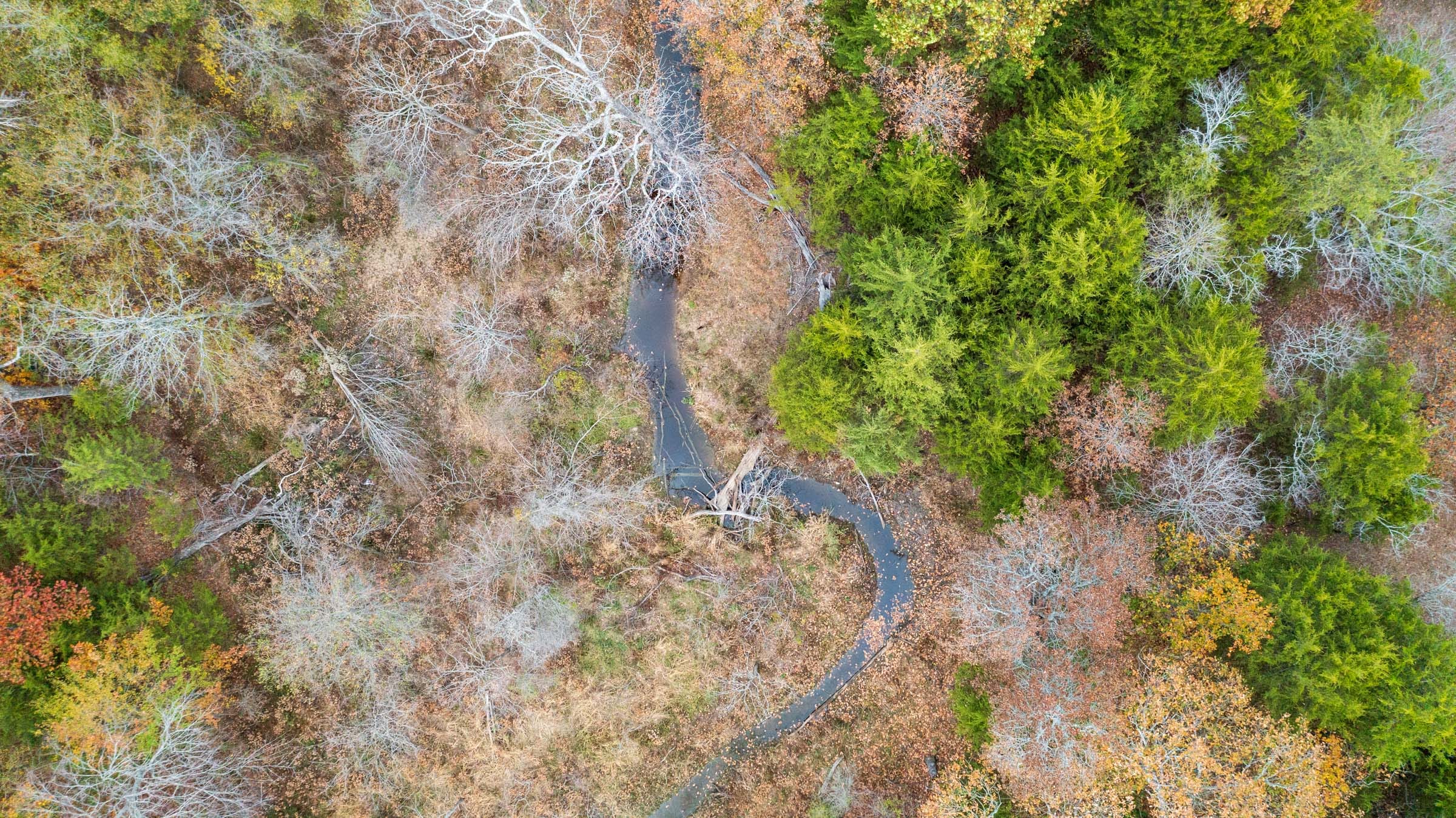 Crystal Springs Tract 7 photo 9