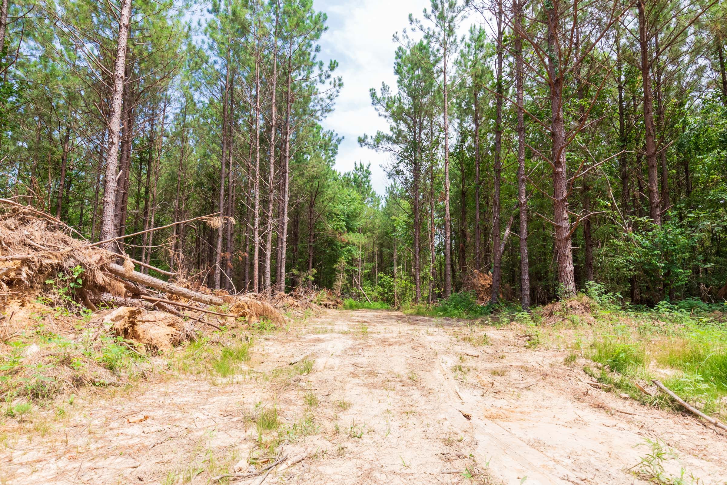 Whiskey Ridge Tract 89 photo 4