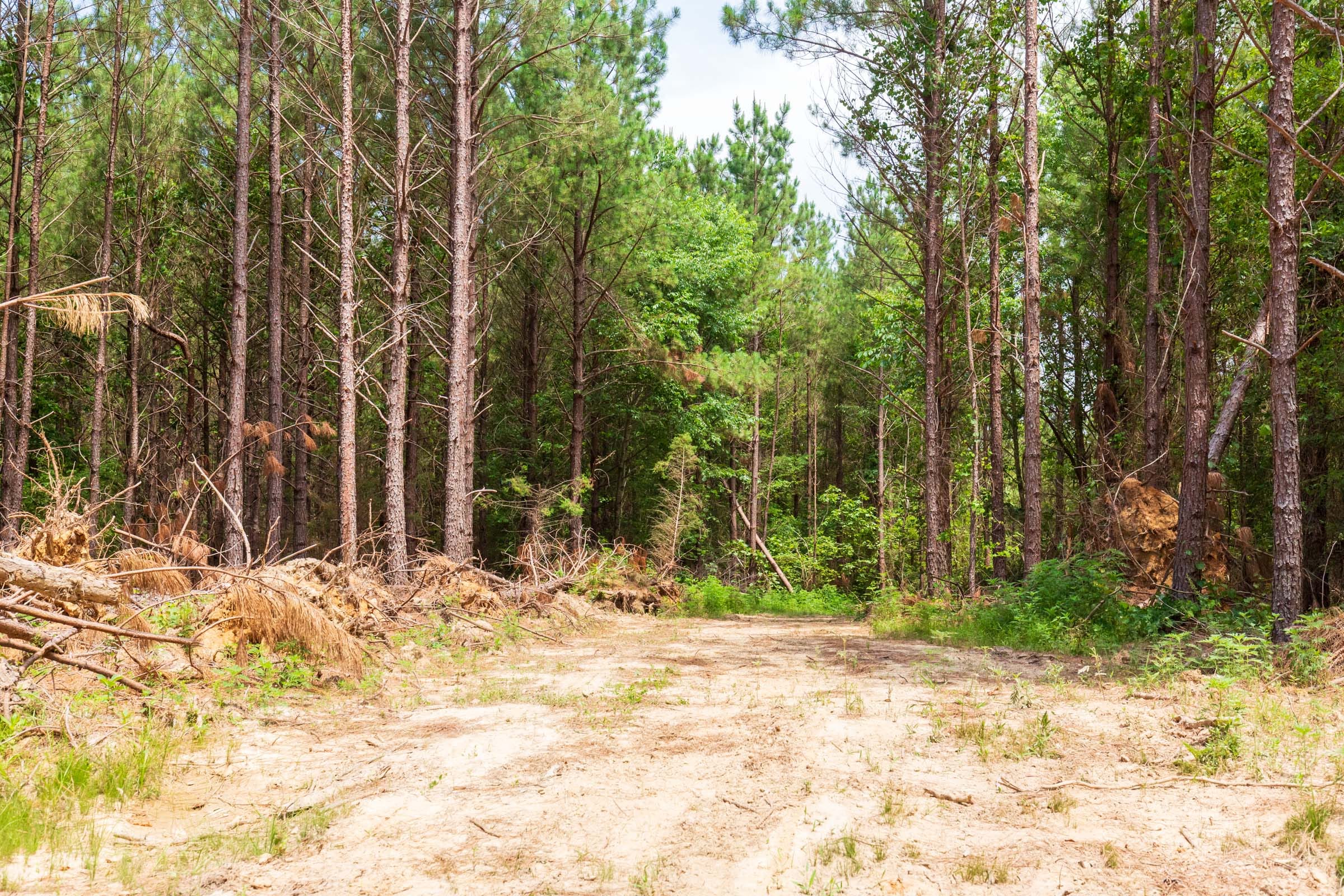 Whiskey Ridge Tract 89 photo 8
