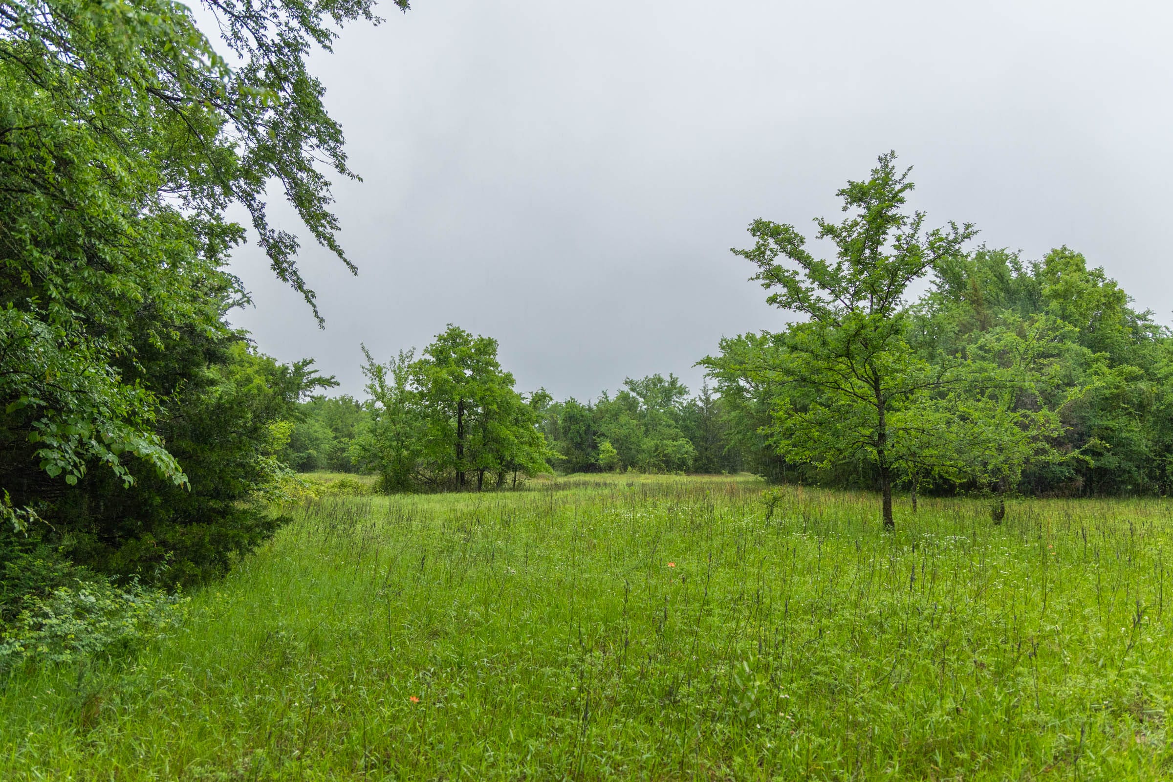 Harmony Hills Tract 16 photo 5