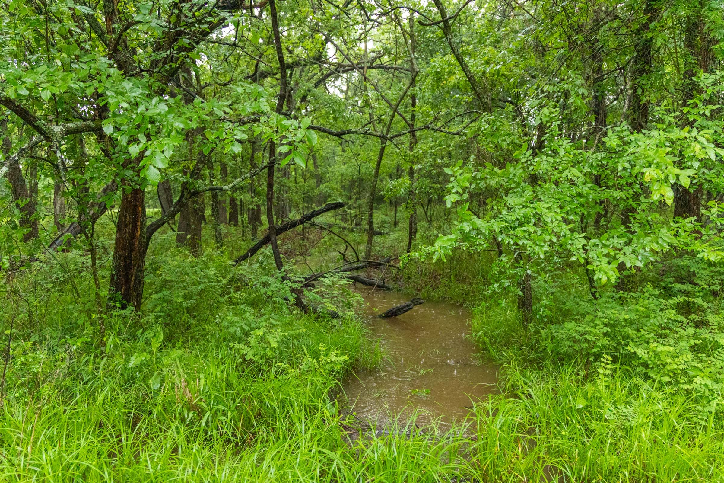 Harmony Hills Tract 16 photo 7