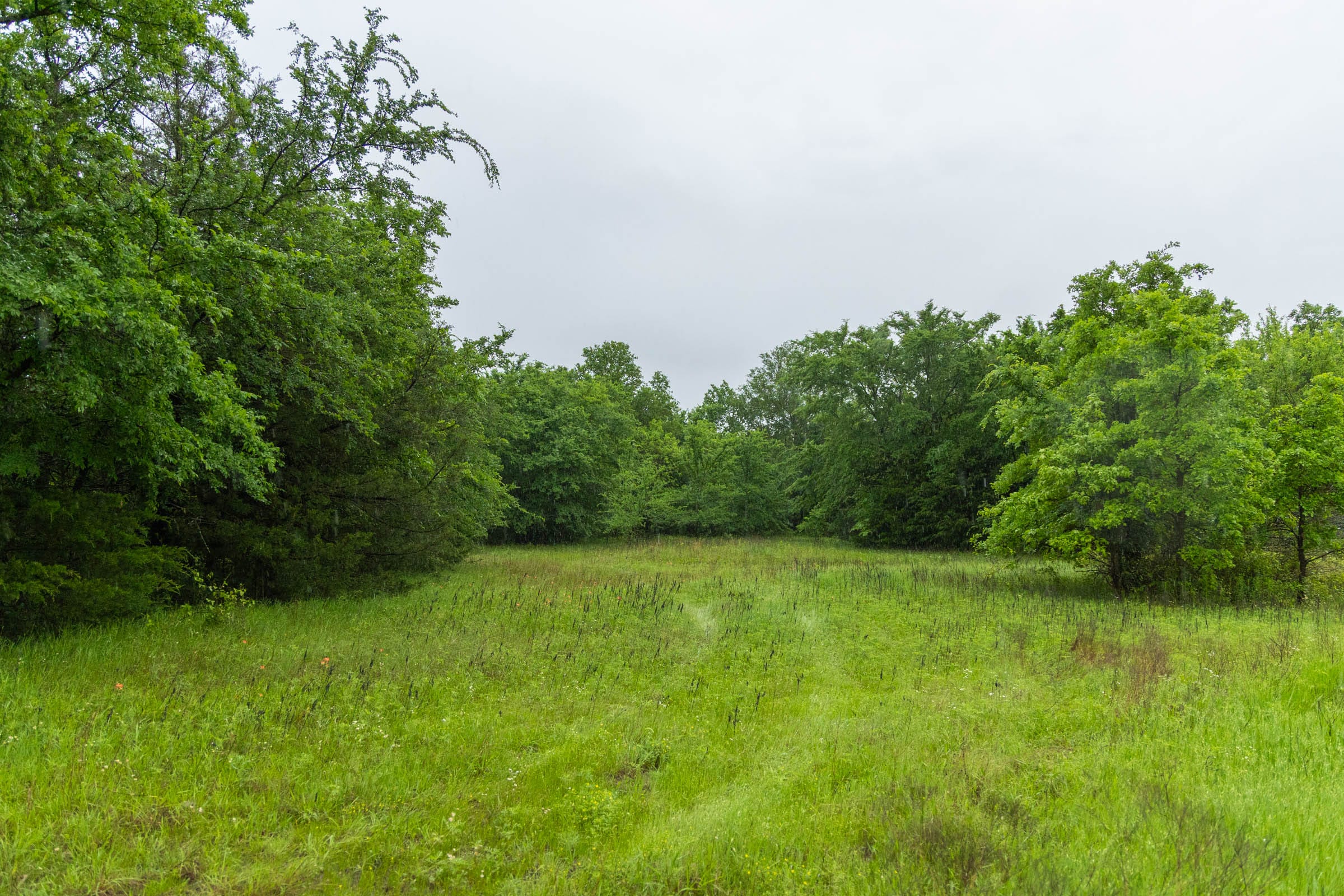 Harmony Hills Tract 16 photo 3