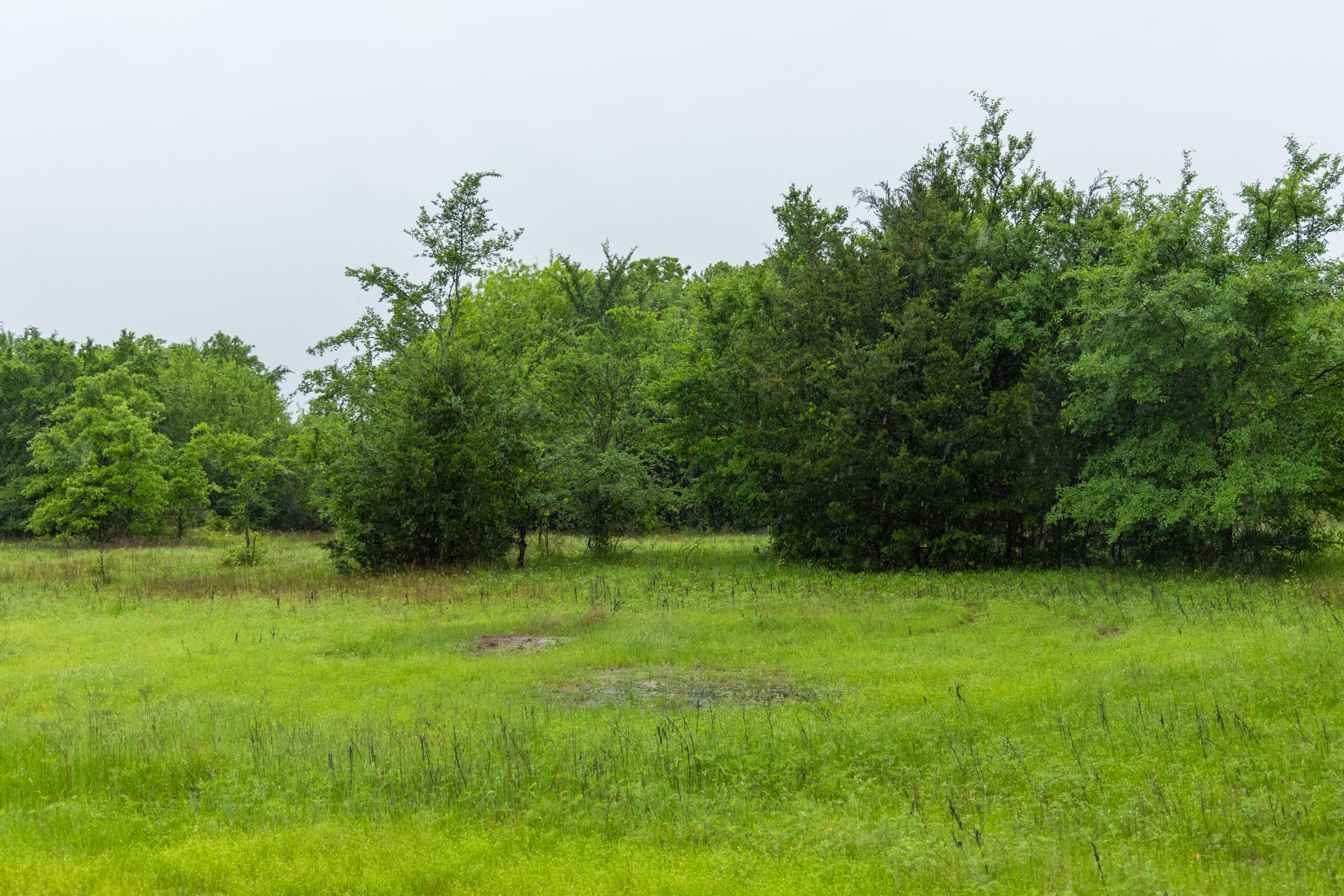 Harmony Hills Tract 16 photo 12