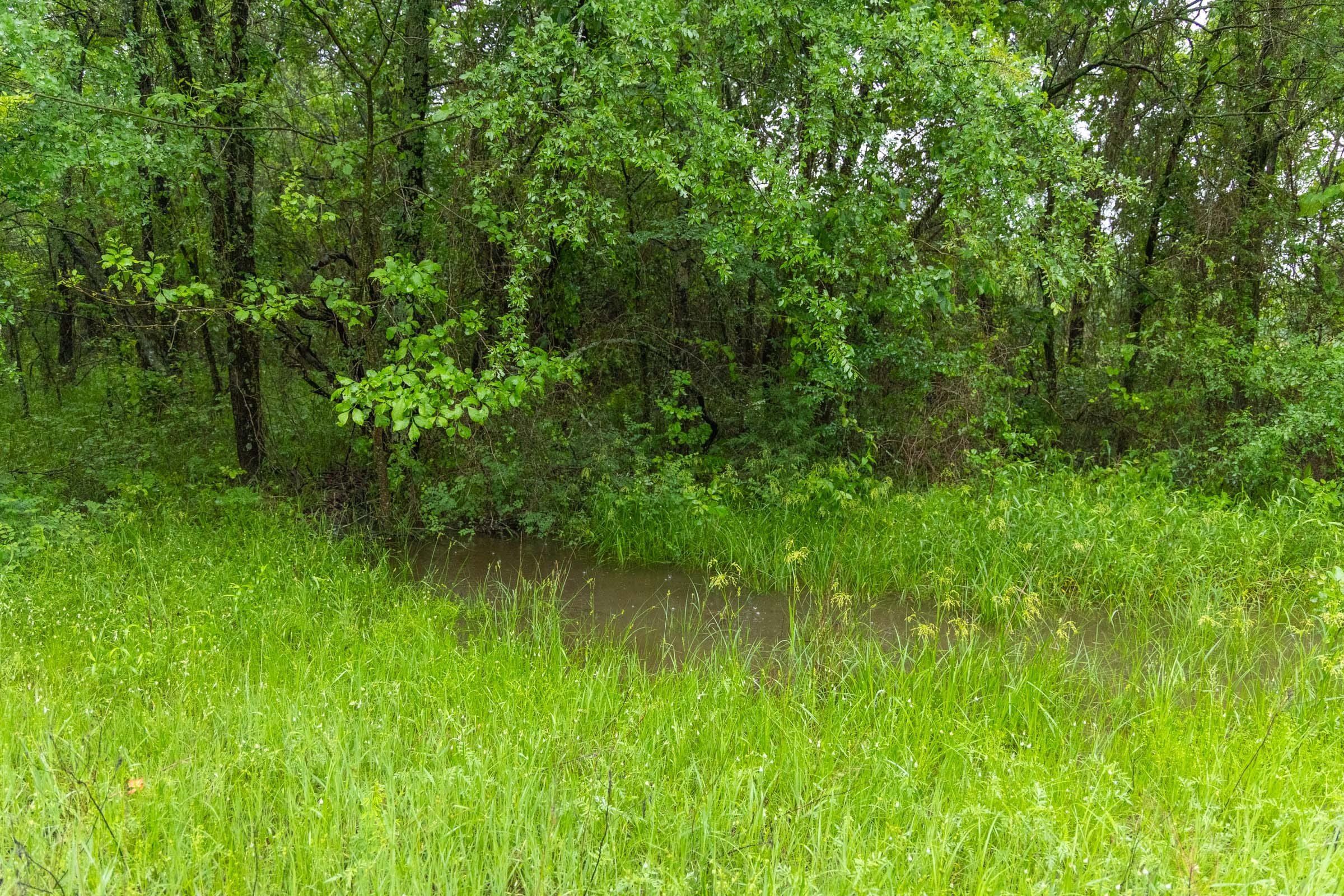 Harmony Hills Tract 16 photo 13
