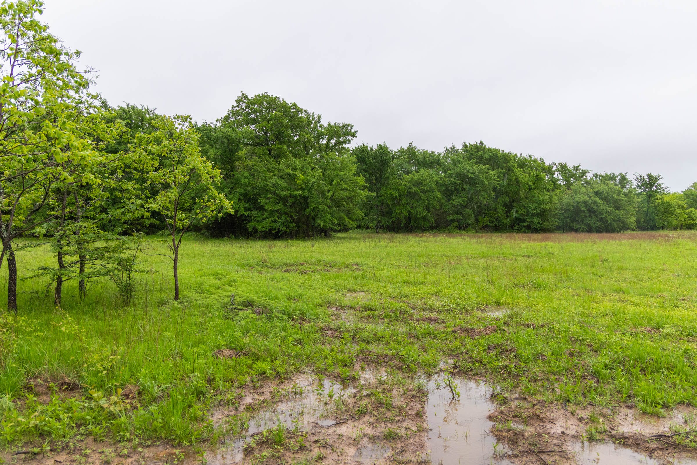 Harmony Hills Tract 16 photo 14