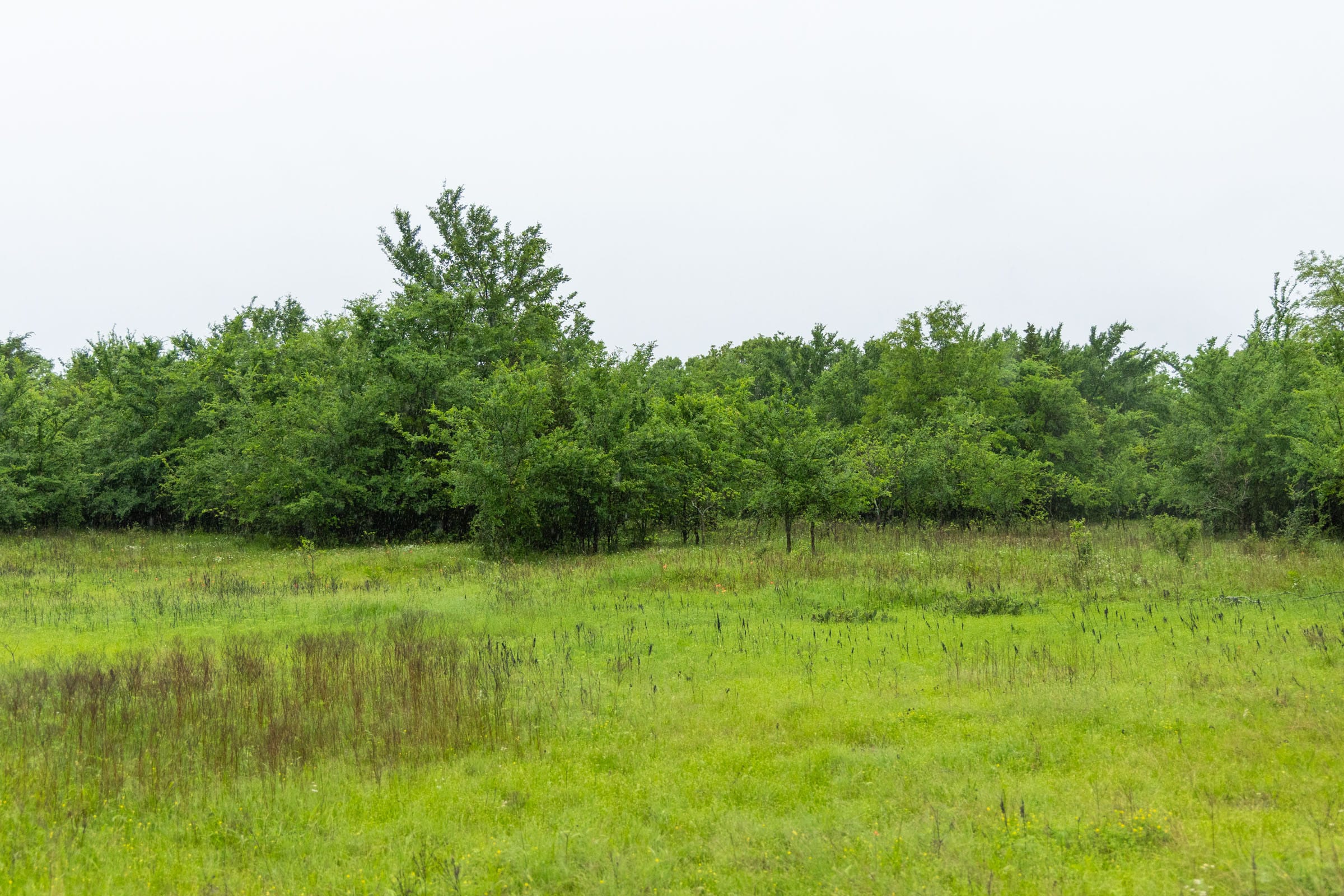 Harmony Hills Tract 16 photo 4