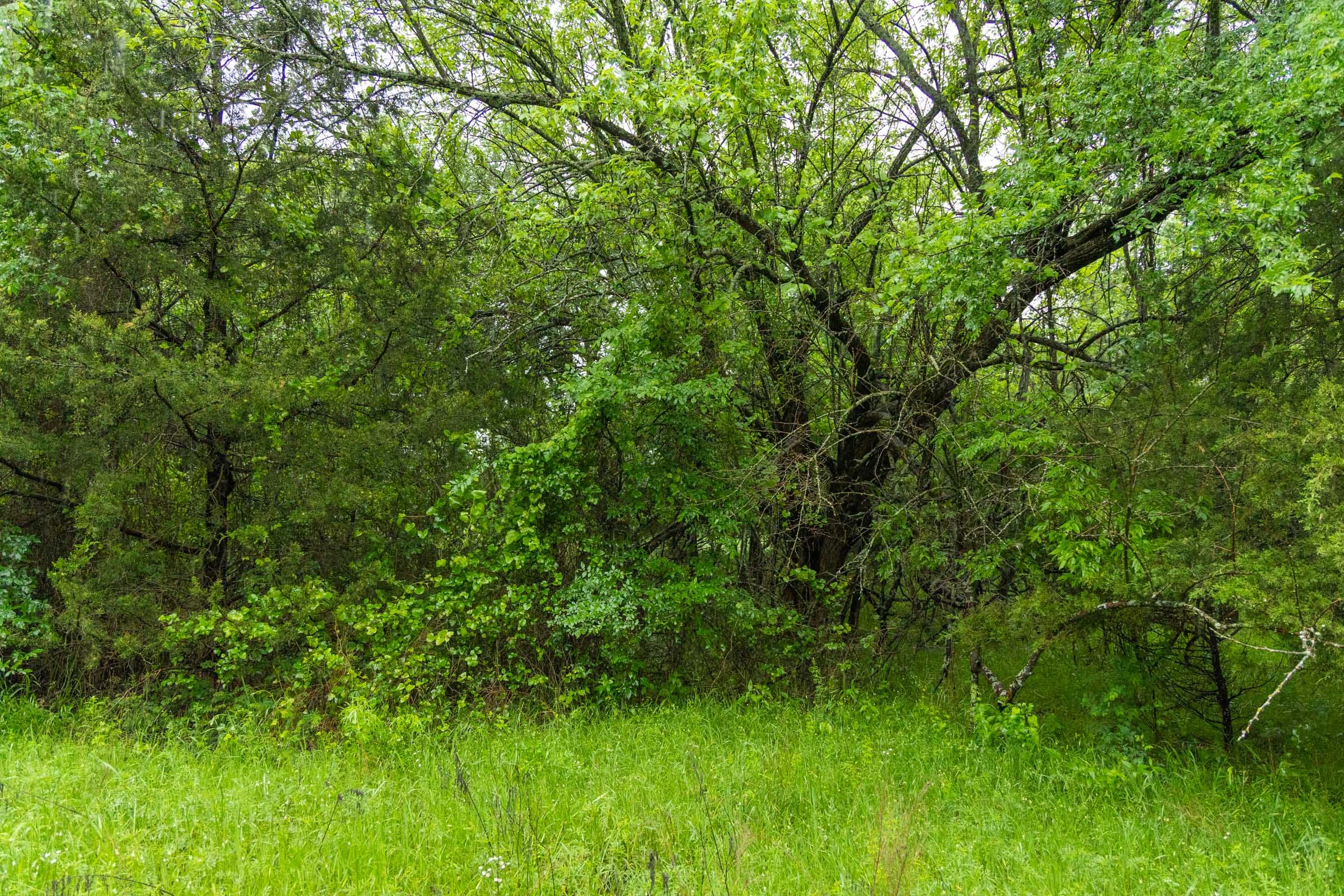 Harmony Hills Tract 16 photo 8