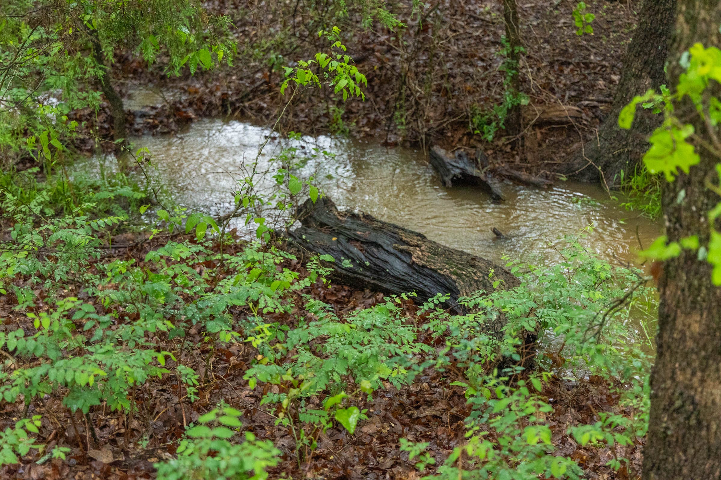 Harmony Hills Tract 16 photo 11