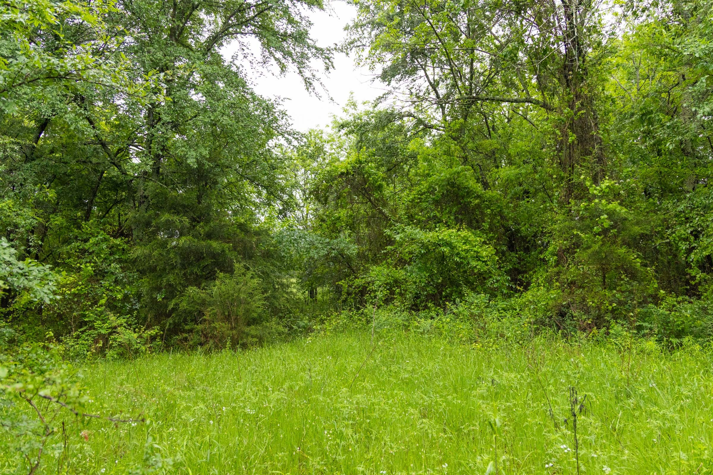Harmony Hills Tract 16 photo 9