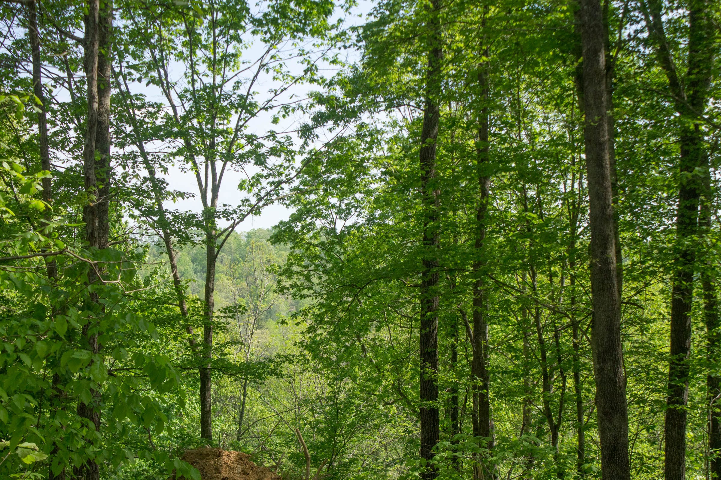 Trails End Tract 18 photo 5