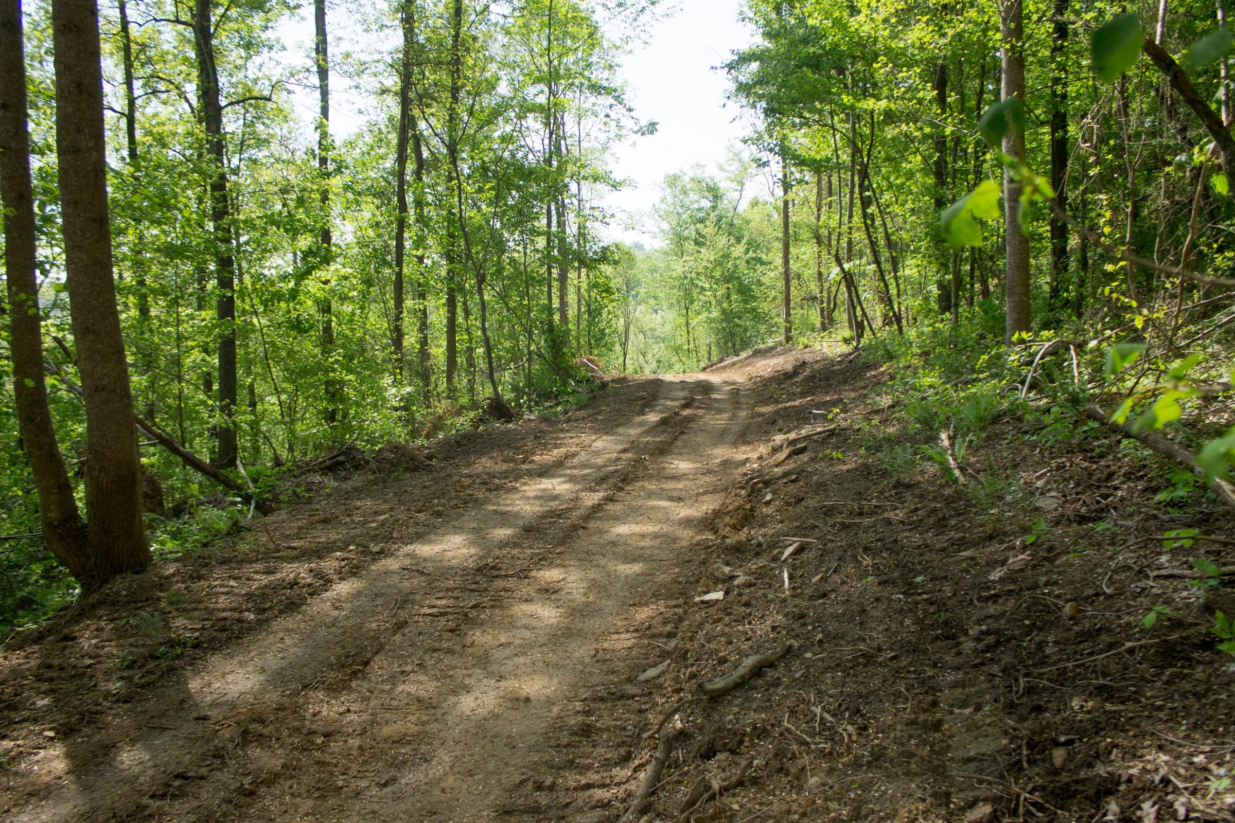 Trails End Tract 18 photo 10