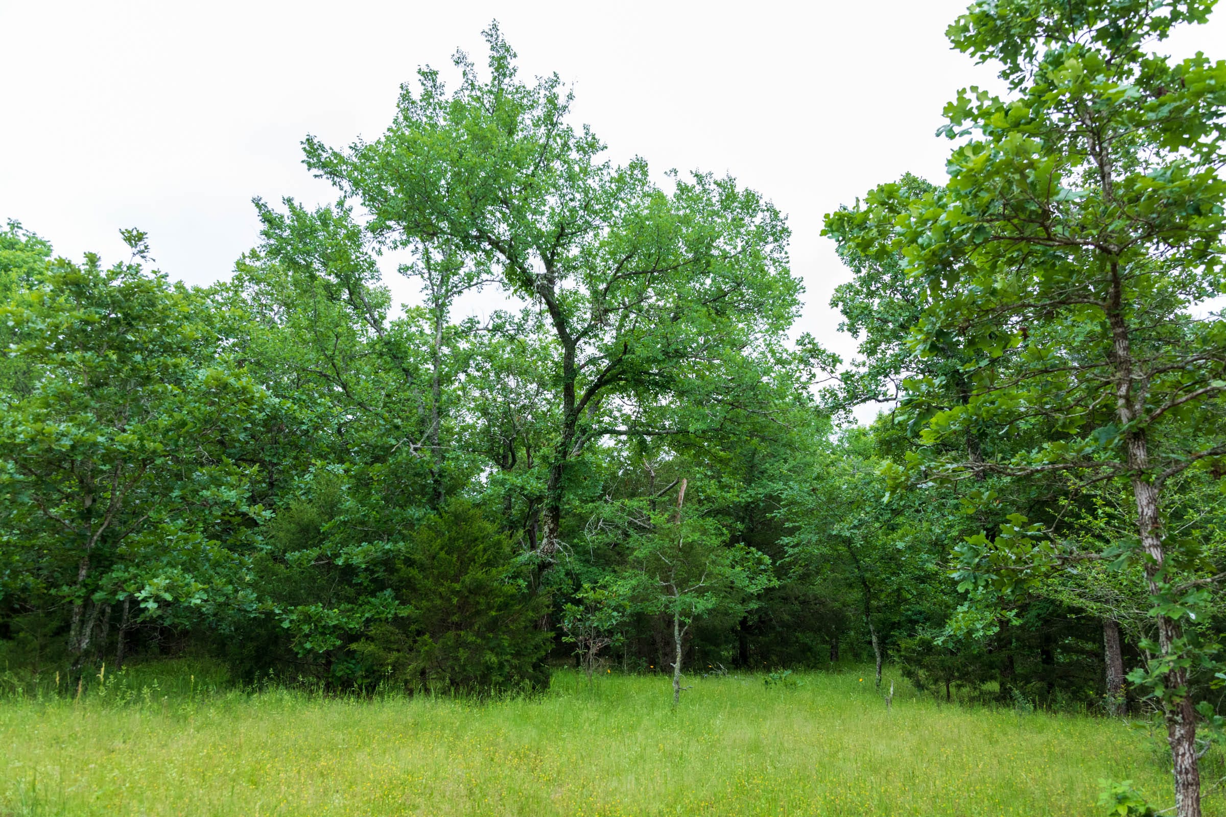 Falcon Crest Tract 2 photo 2