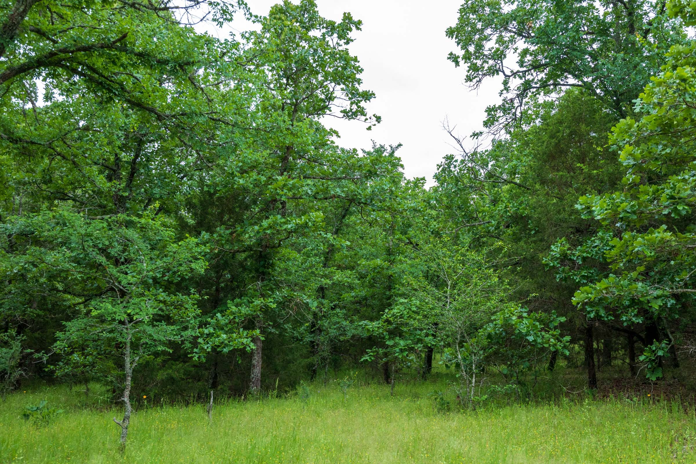 Falcon Crest Tract 2 photo 5